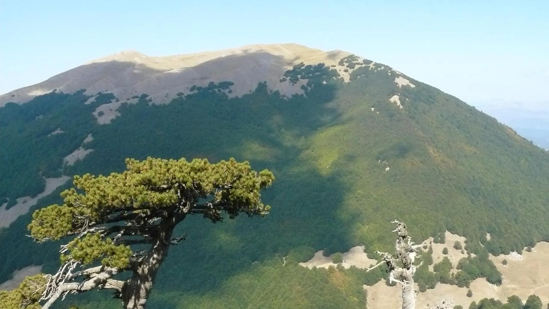 Nearby landmark in Il Belvedere