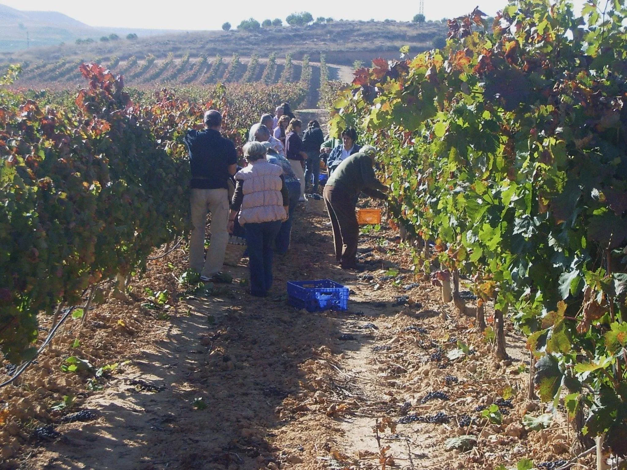 People in Hotel Spa Tudanca Aranda