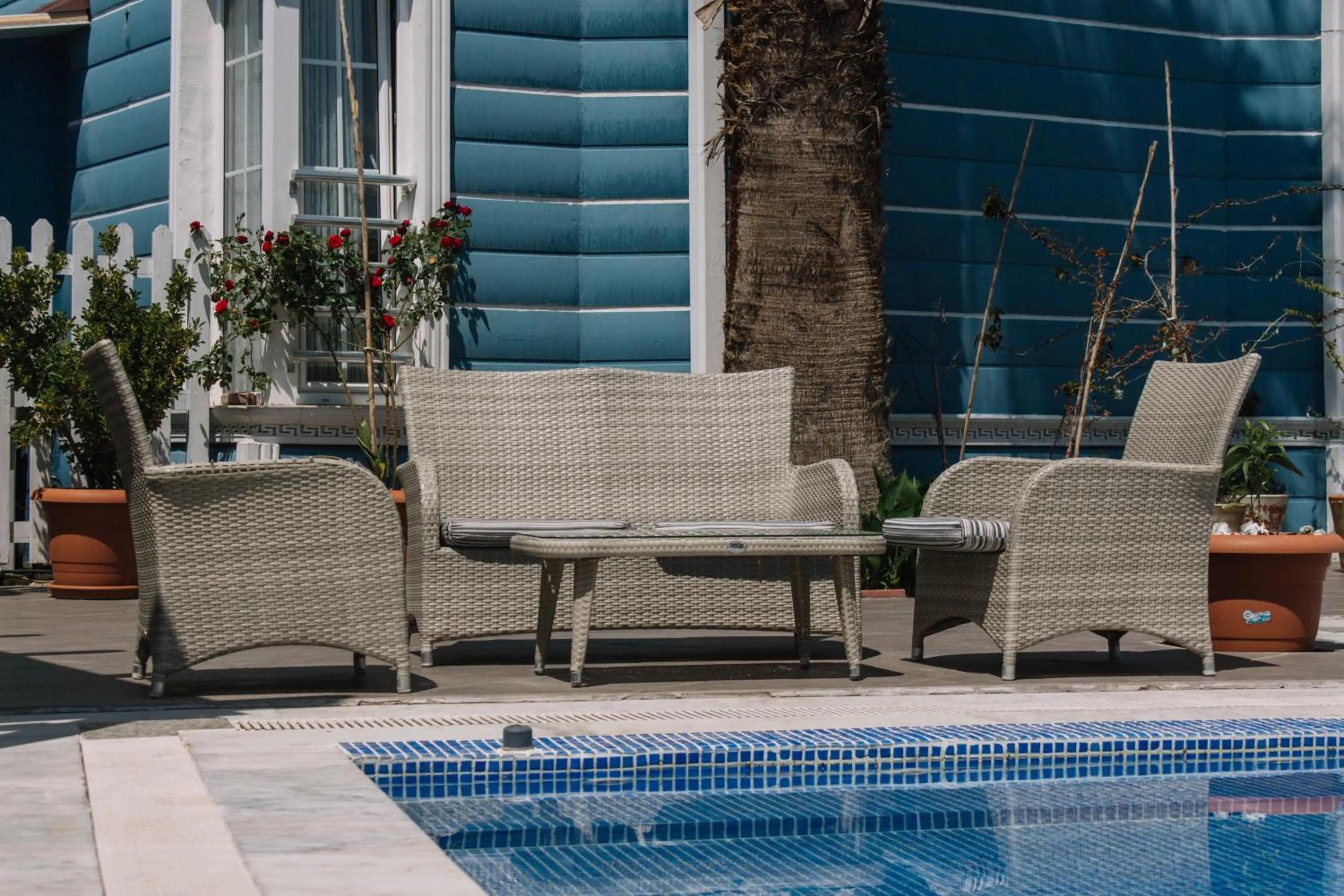 Patio in Melrose Viewpoint Pansiyon