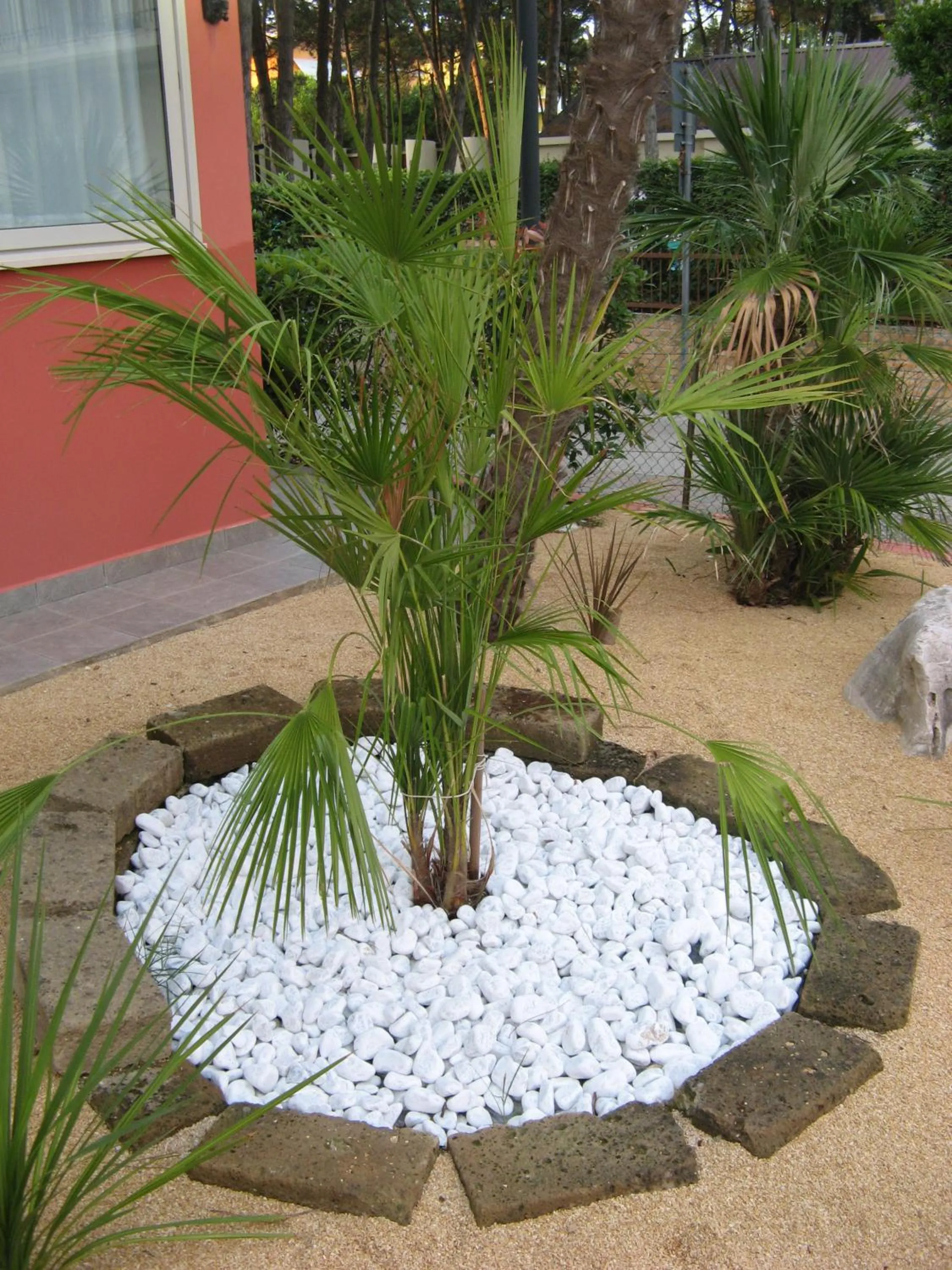 Facade/entrance in Hotel Villa Maria