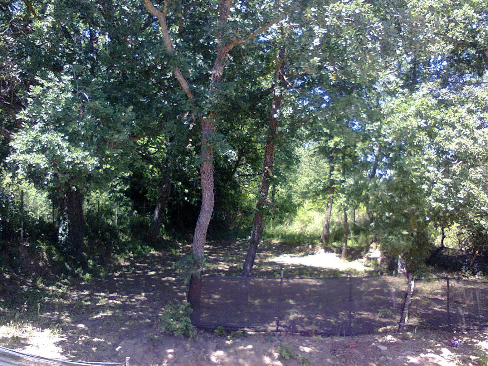 Agriturismo San Pietro