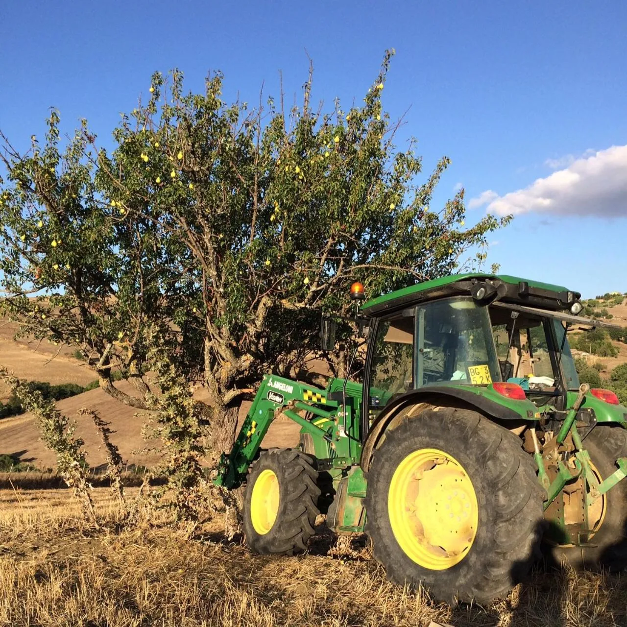 Natural landscape in Agriturismo San Pietro