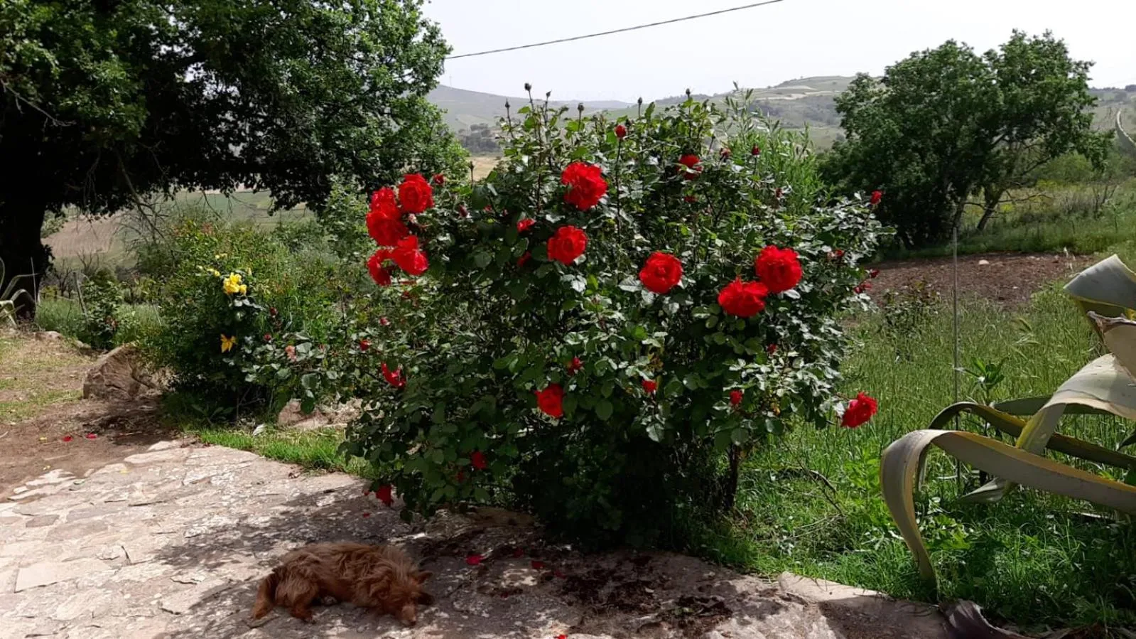 Agriturismo San Pietro