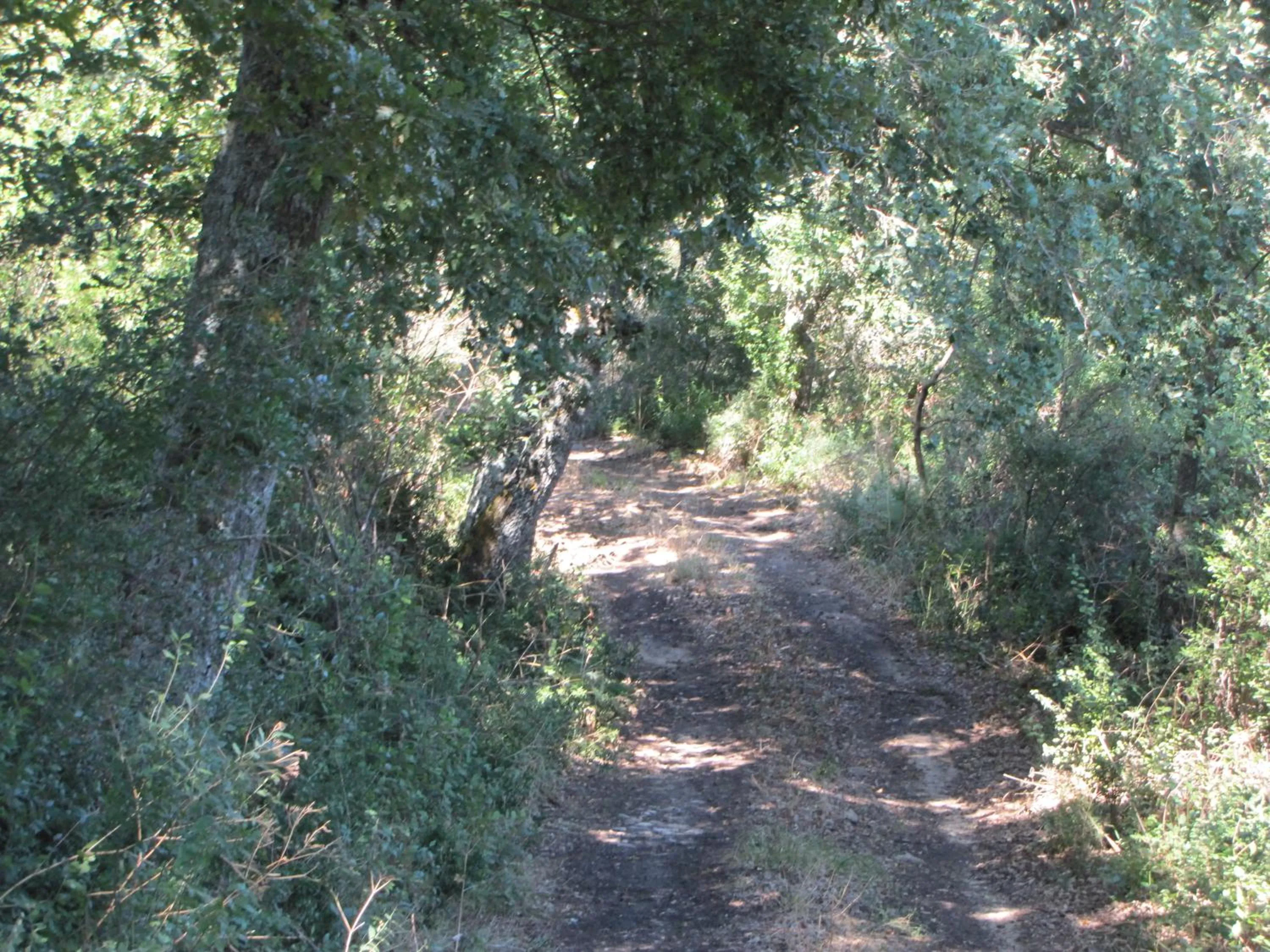 Agriturismo San Pietro