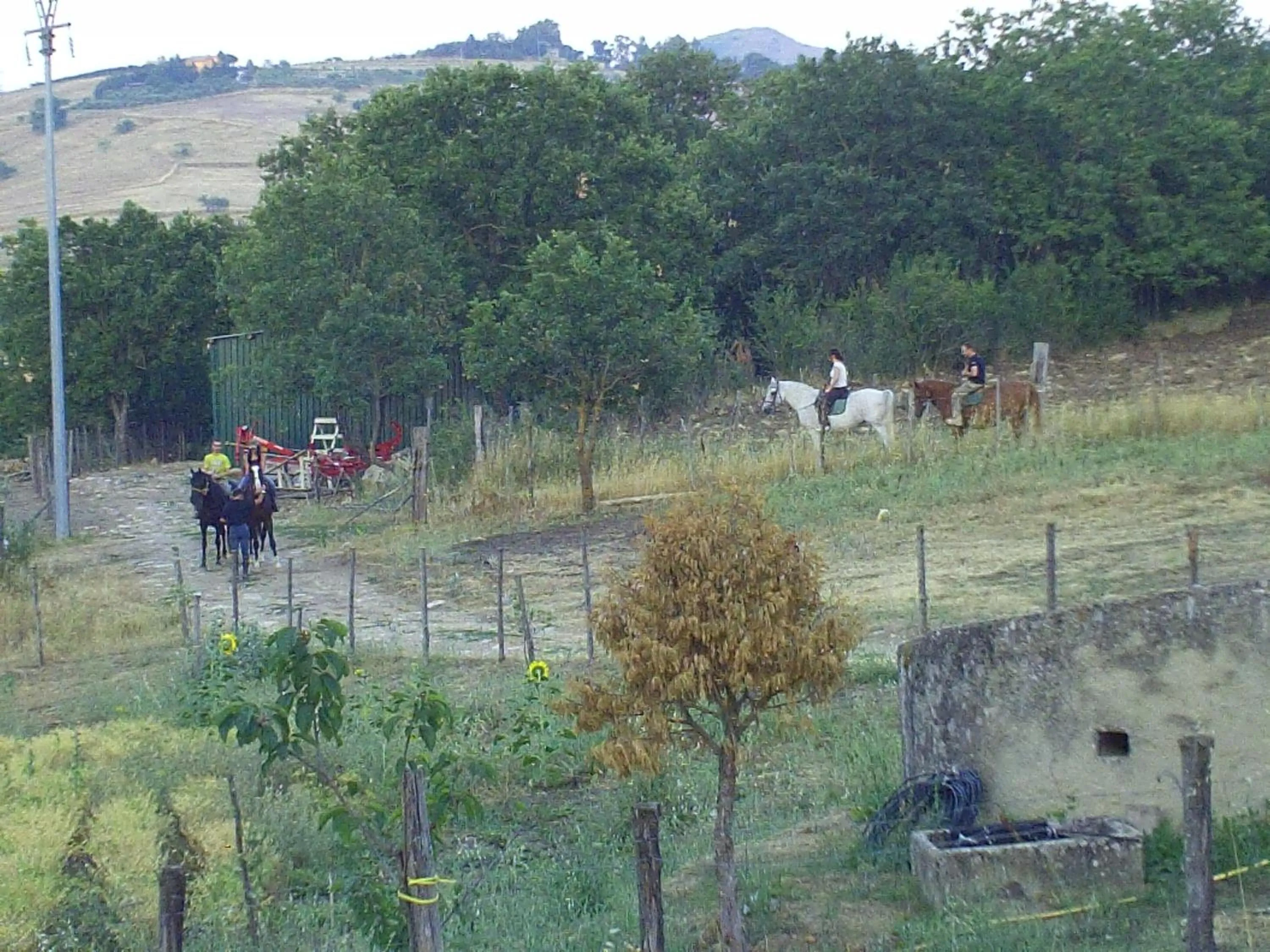 Horse-riding in Agriturismo San Pietro