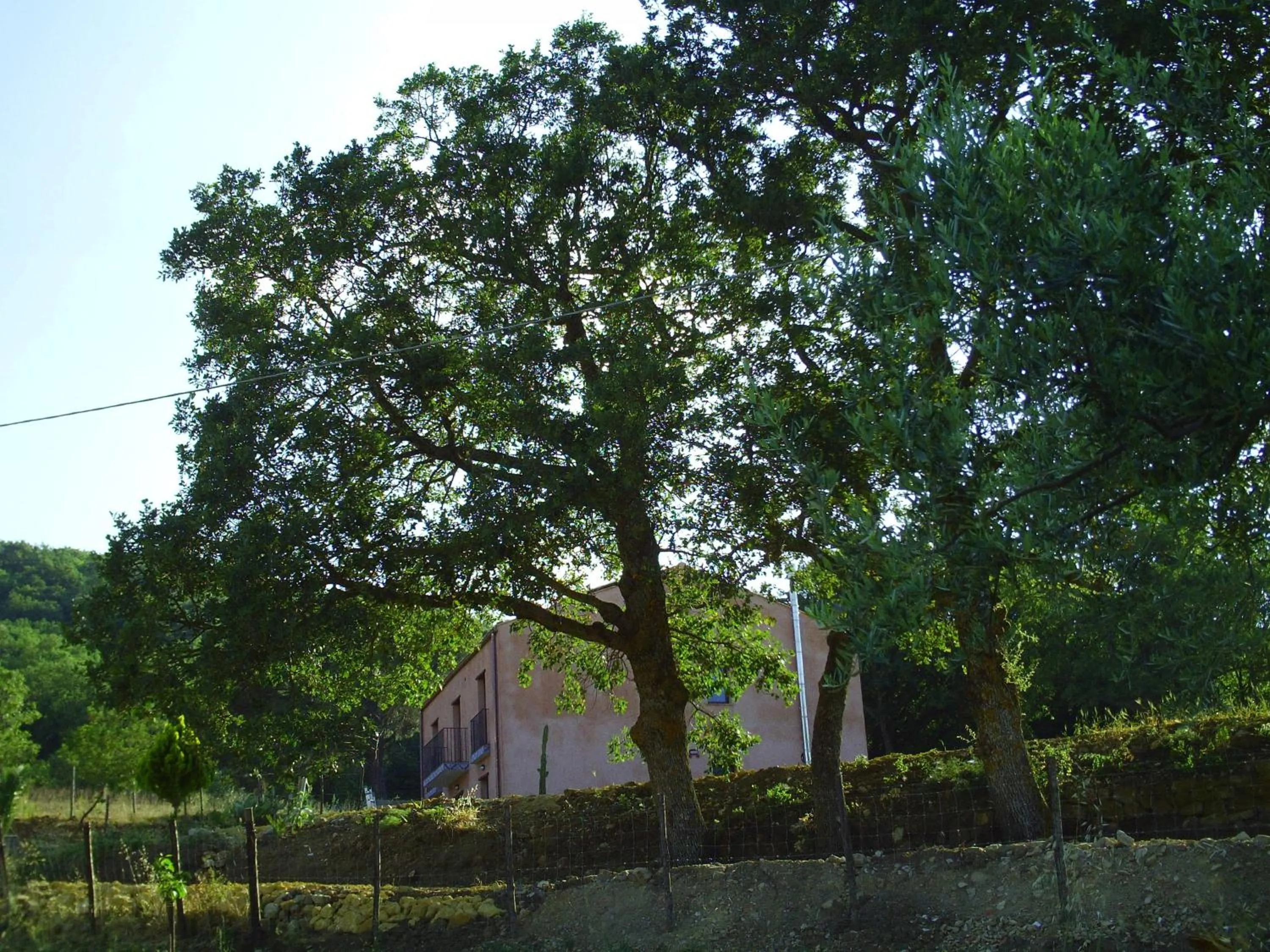 Agriturismo San Pietro