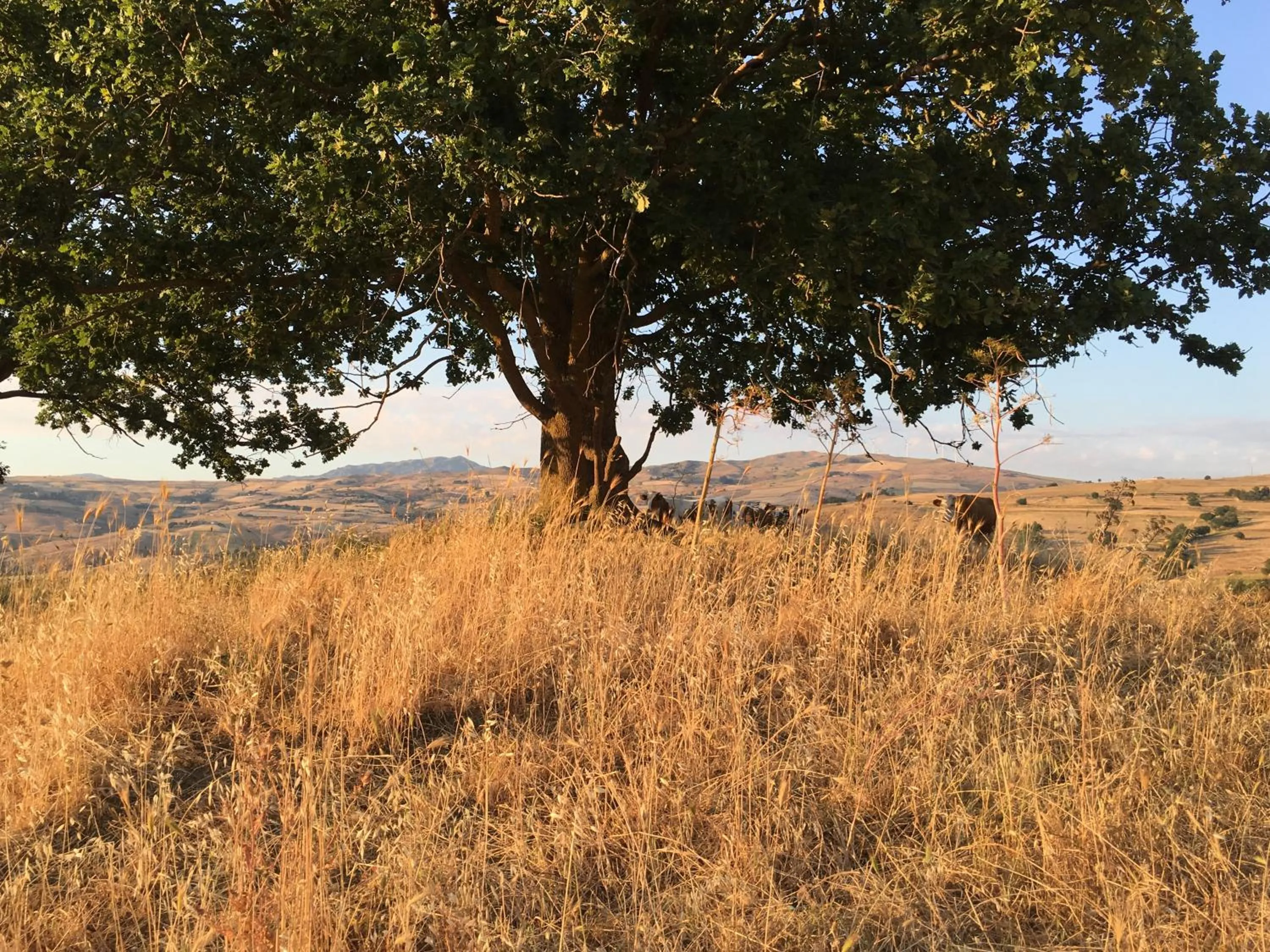 Natural landscape in Agriturismo San Pietro