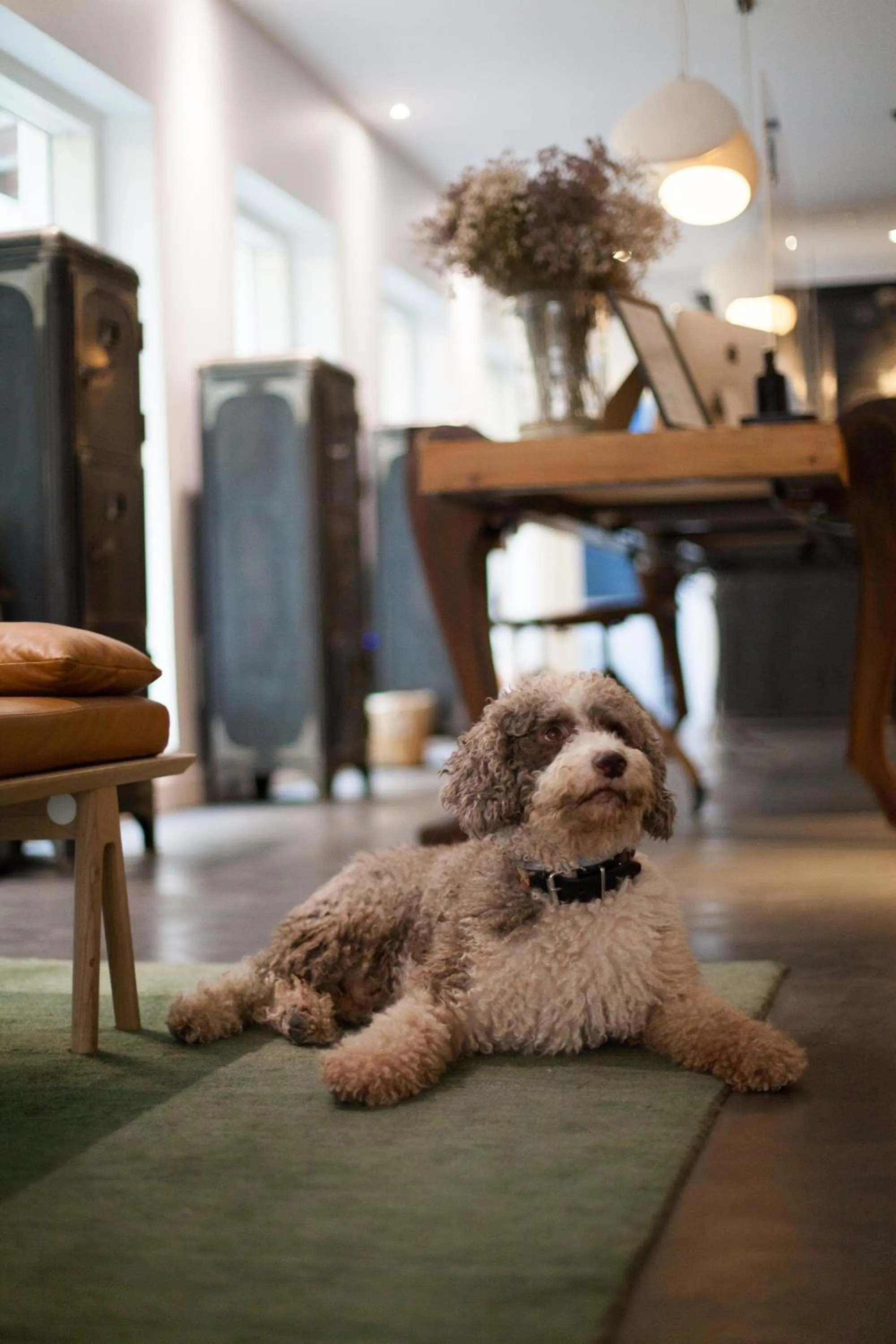 Lobby or reception in 7 Islas Hotel