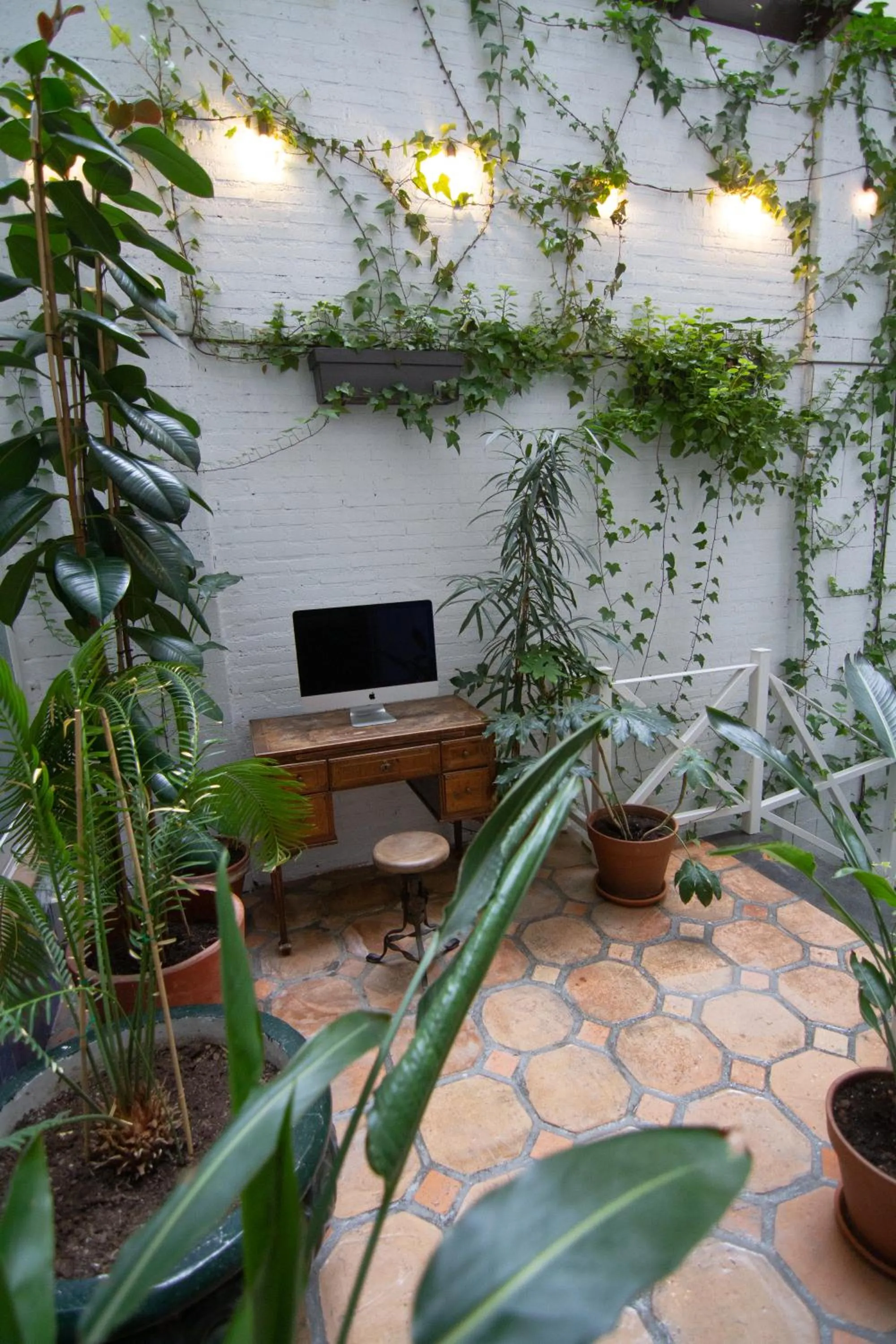 Patio in 7 Islas Hotel