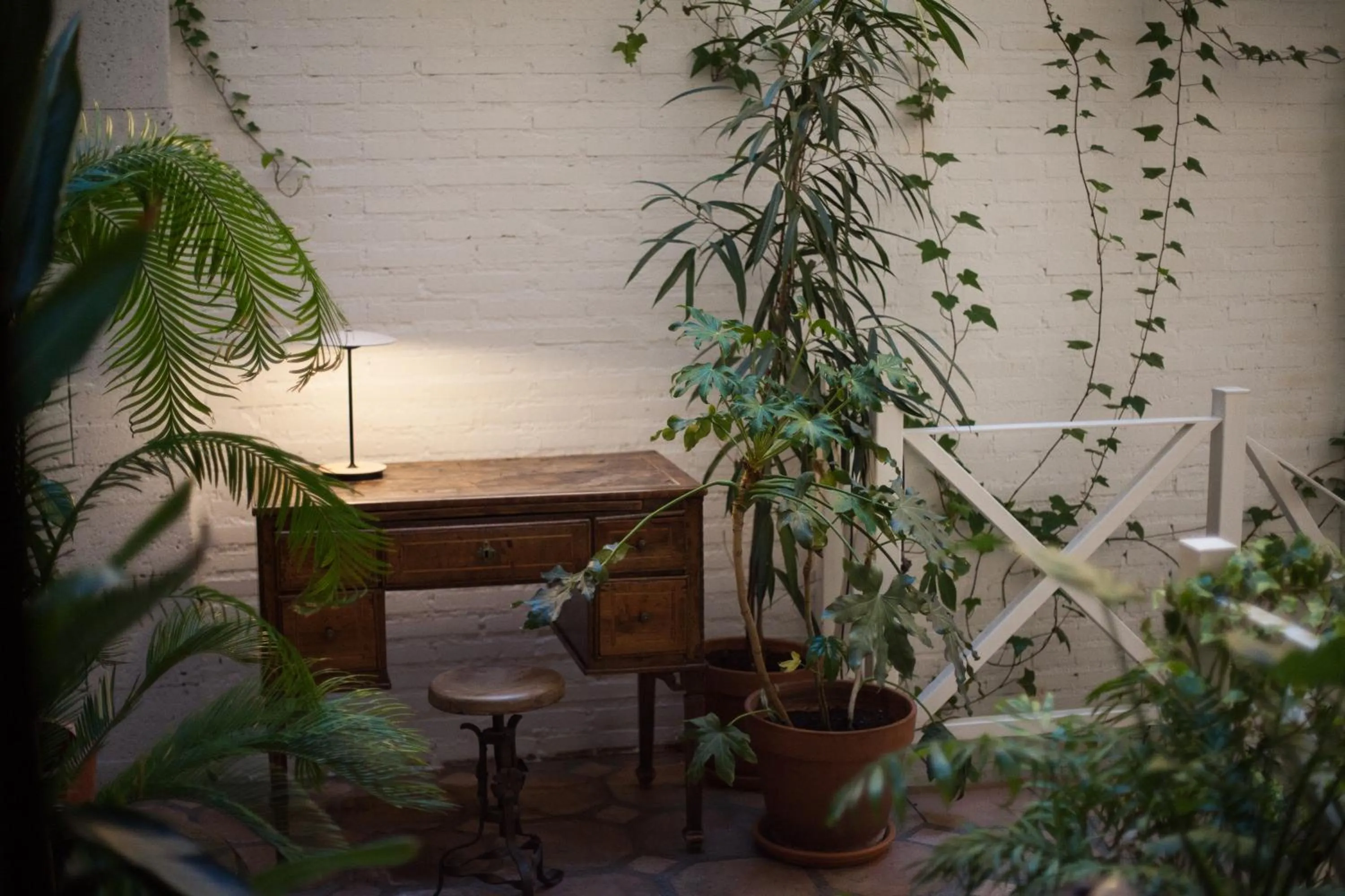 Patio in 7 Islas Hotel