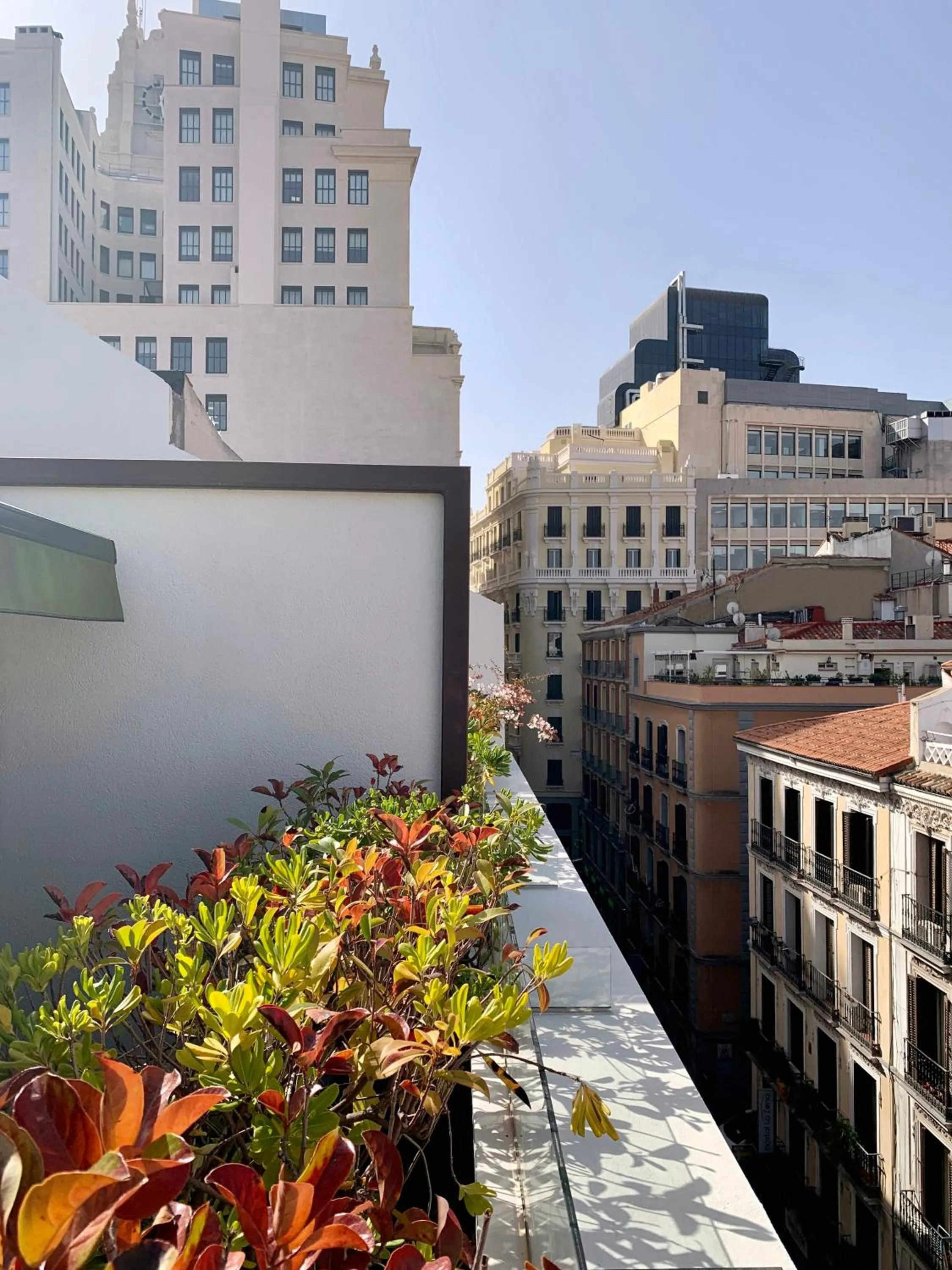 City view in 7 Islas Hotel