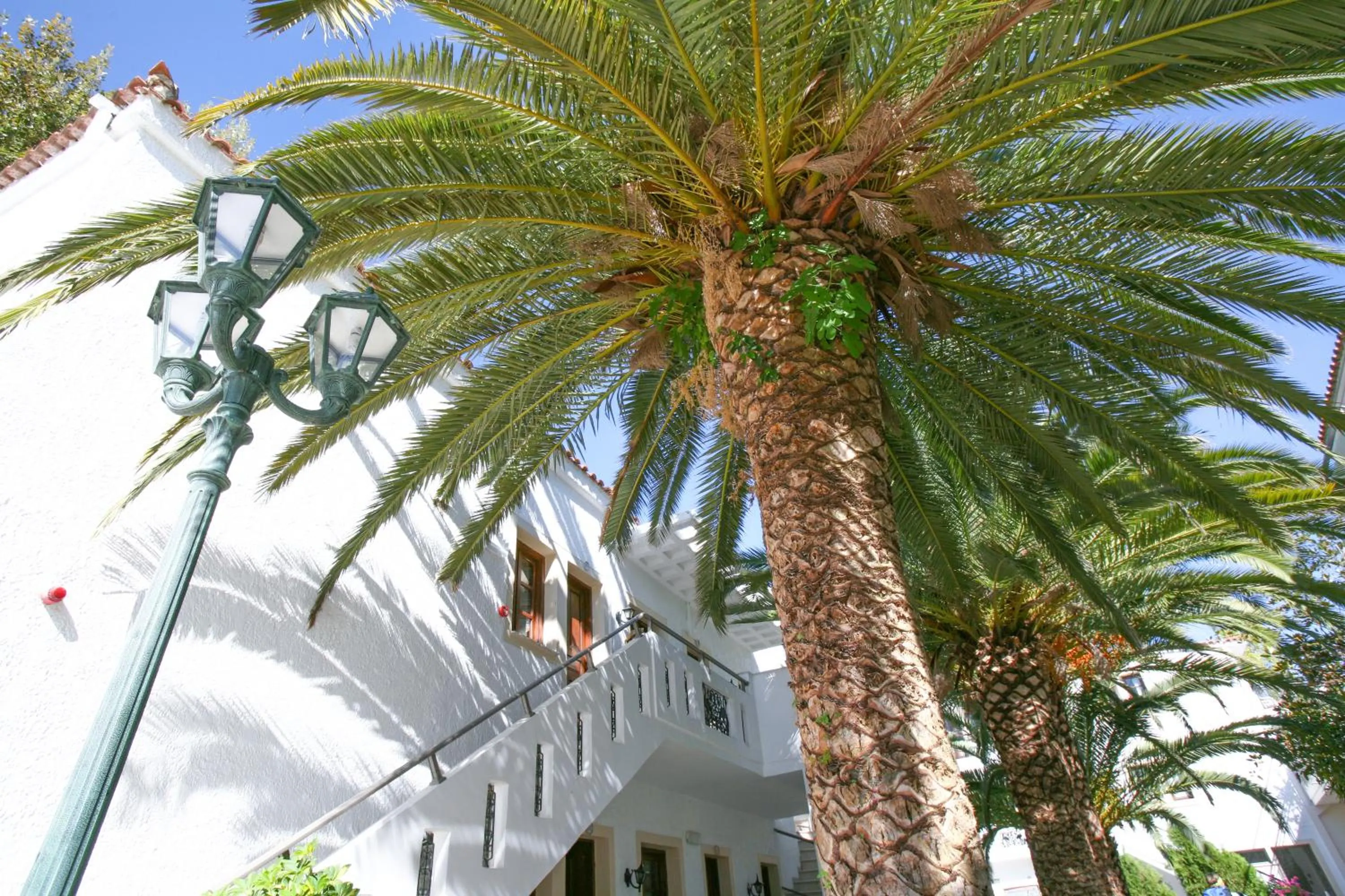 Property building in Flamingos Hotel Apartments