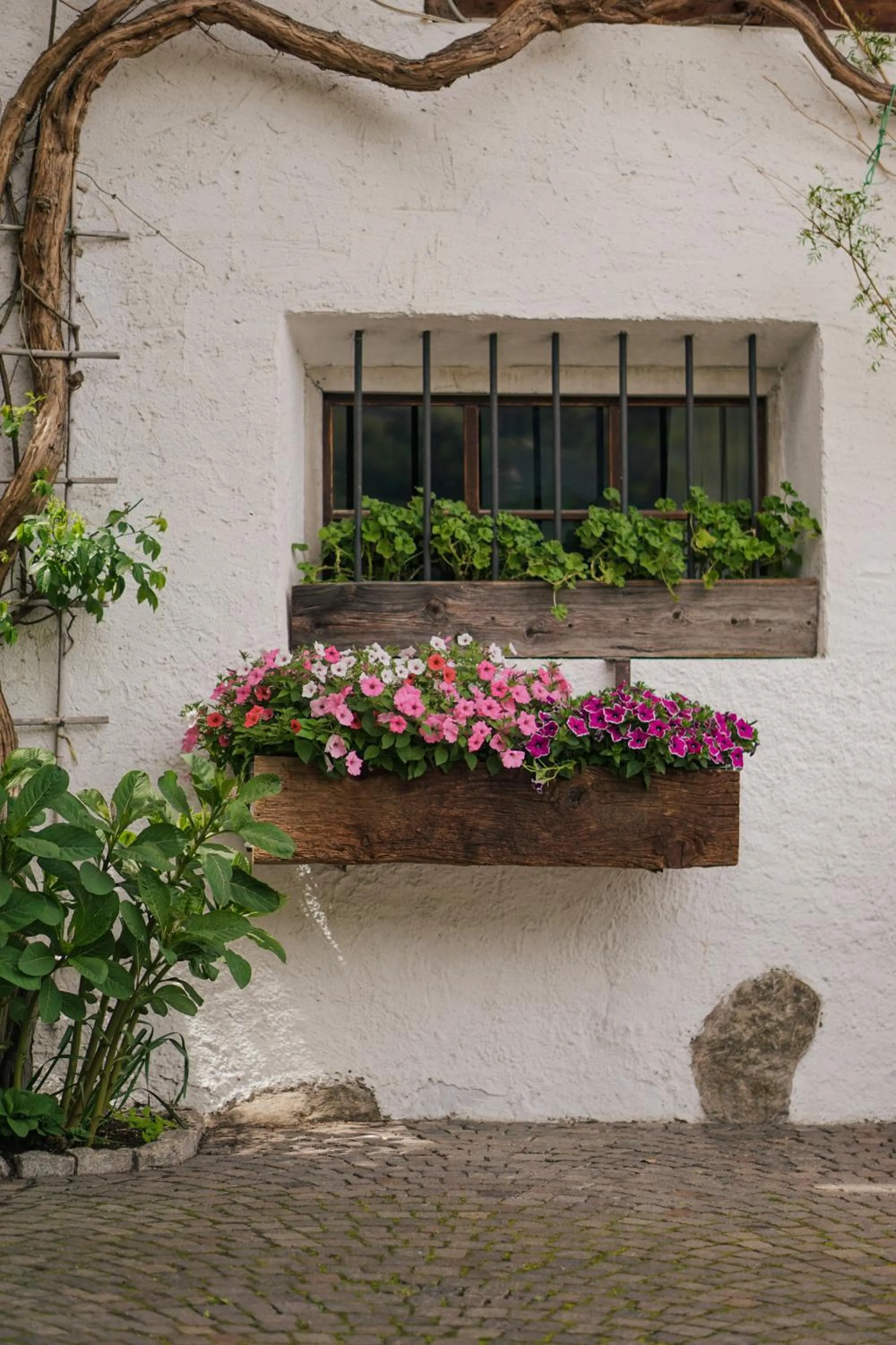 Property building in Oberwirtshof