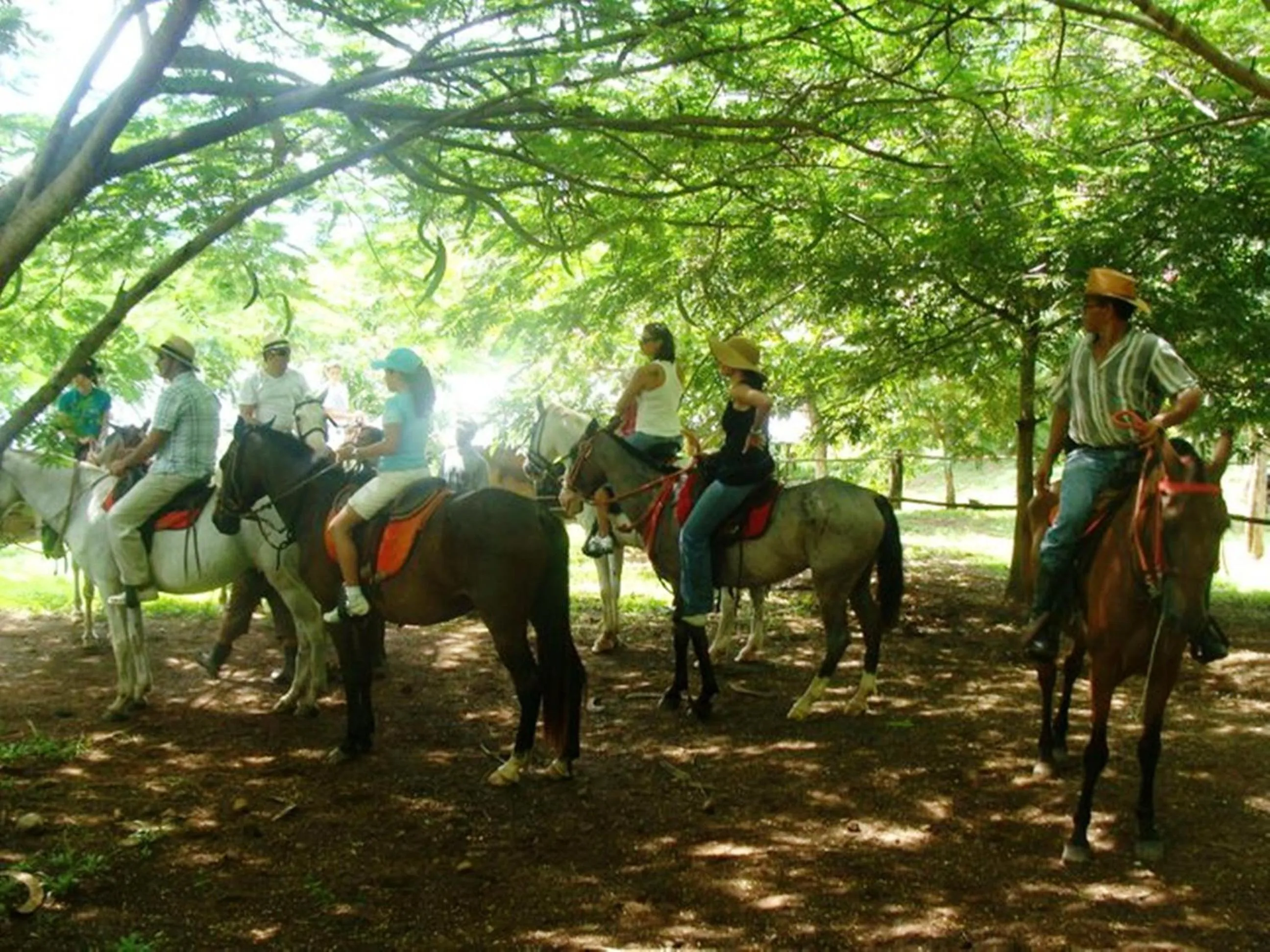 Horse-riding in Casa del Sol -Villas Catalinas