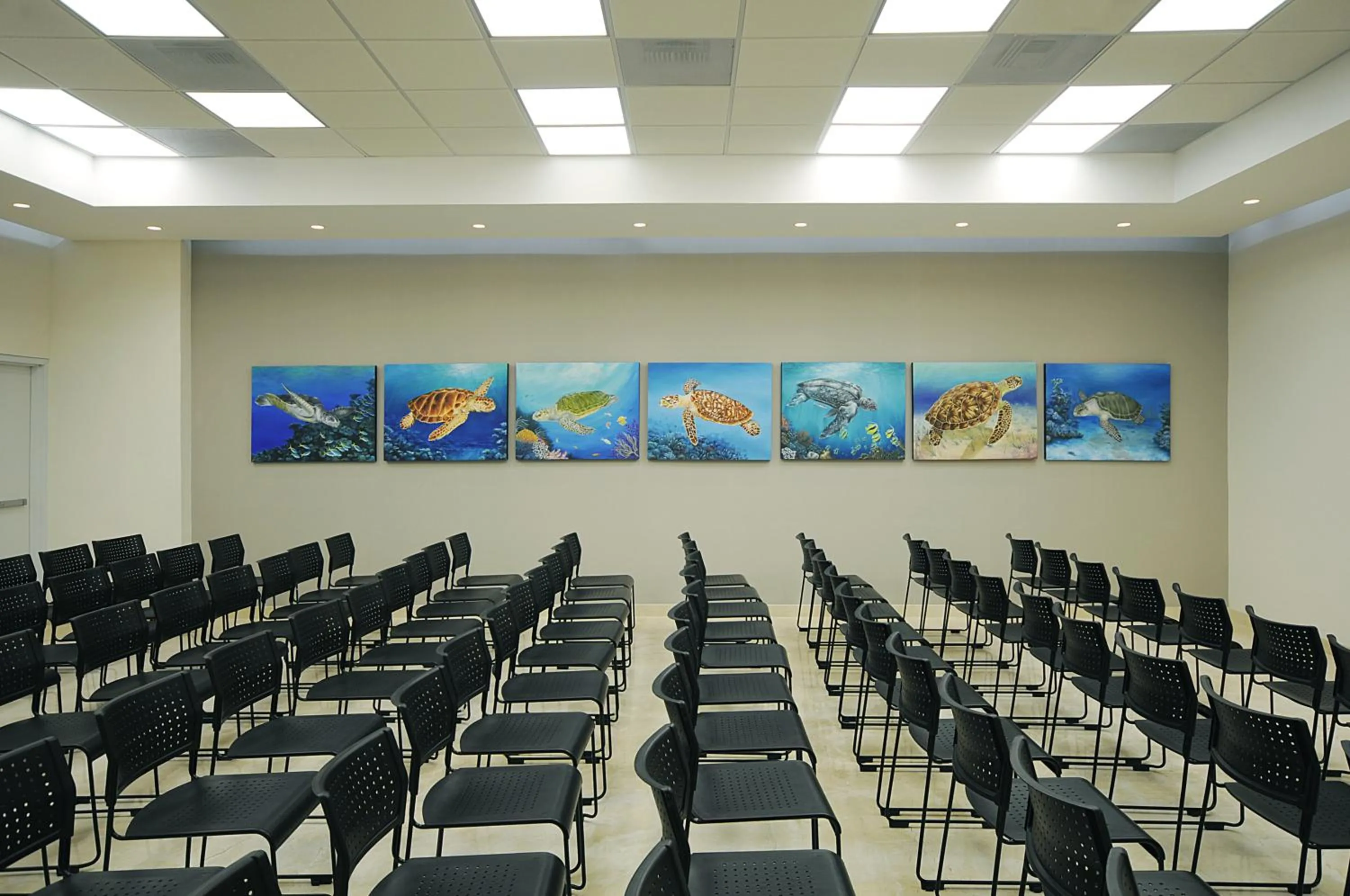 Meeting/conference room in Holiday Inn Express Puerto Vallarta by IHG