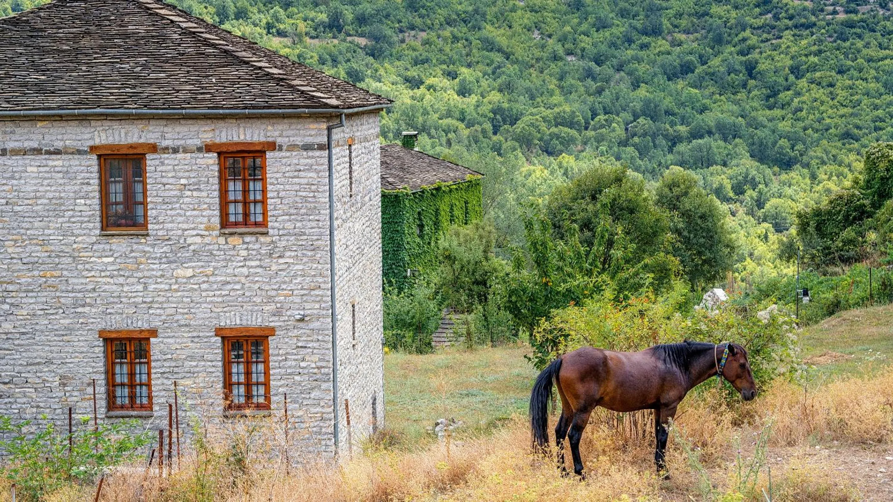 Animals in Dilofo Hotel Luxury Suites