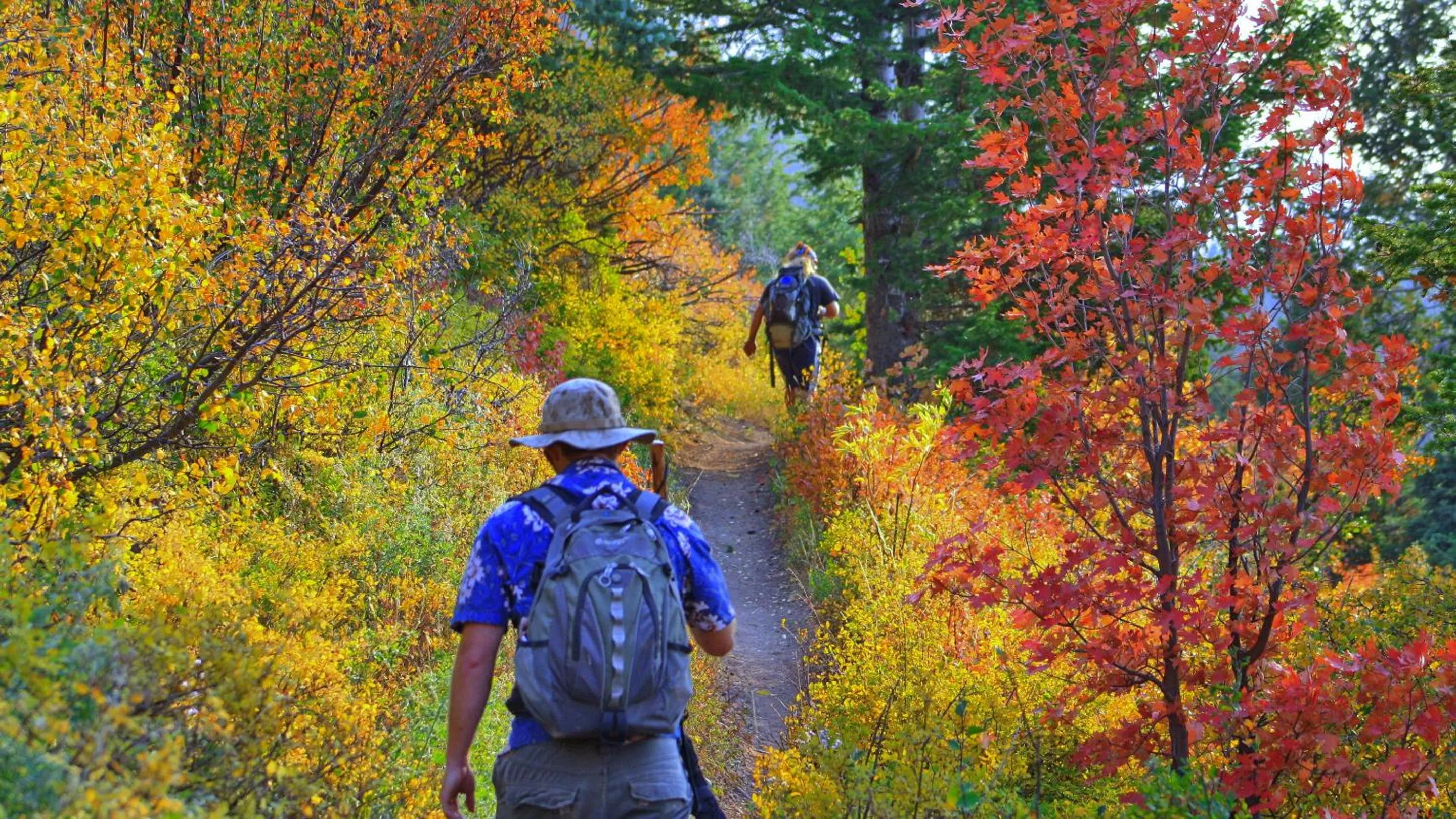 Activities in Dilofo Hotel Luxury Suites