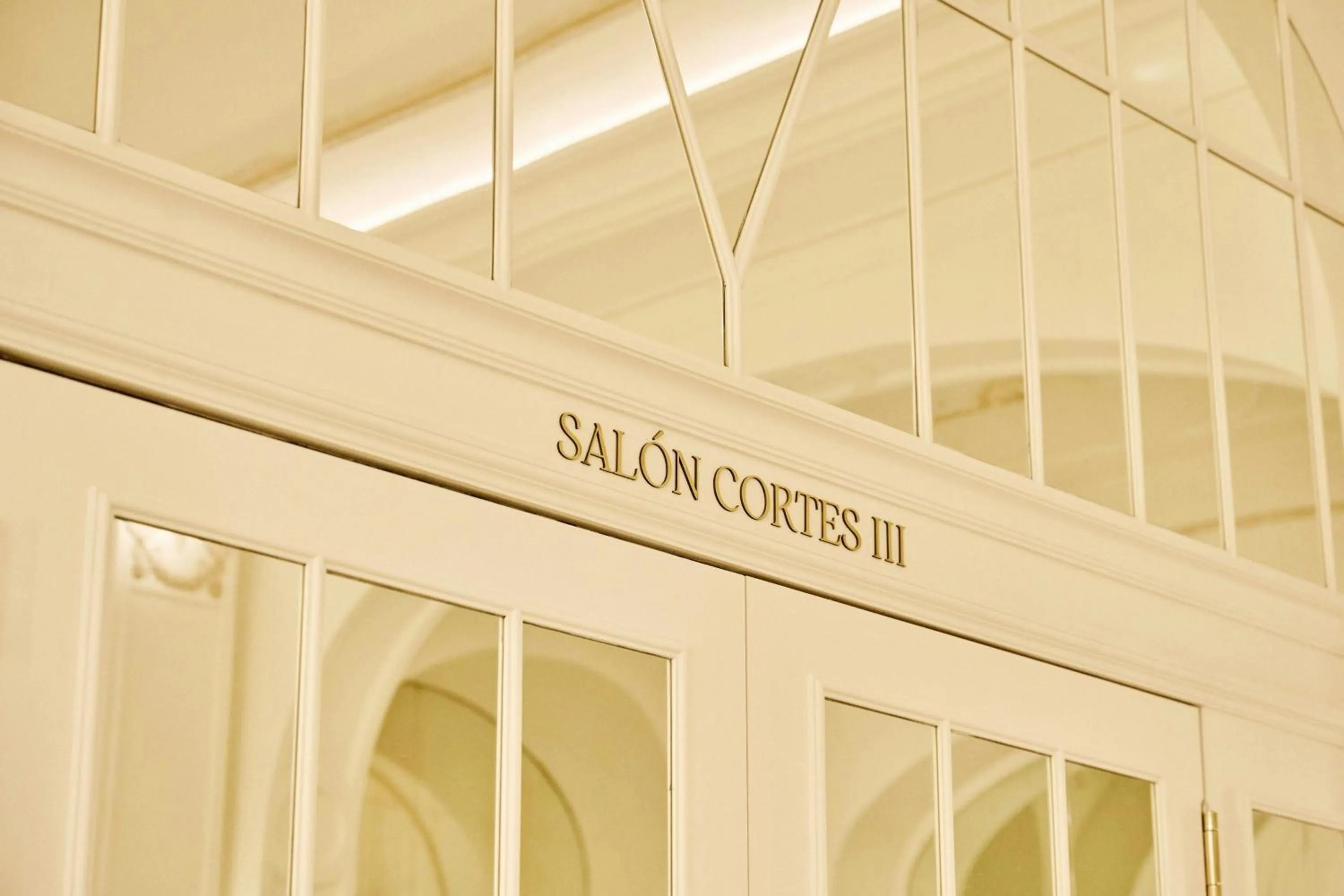 Meeting/conference room in The Palace, a Luxury Collection Hotel, Madrid