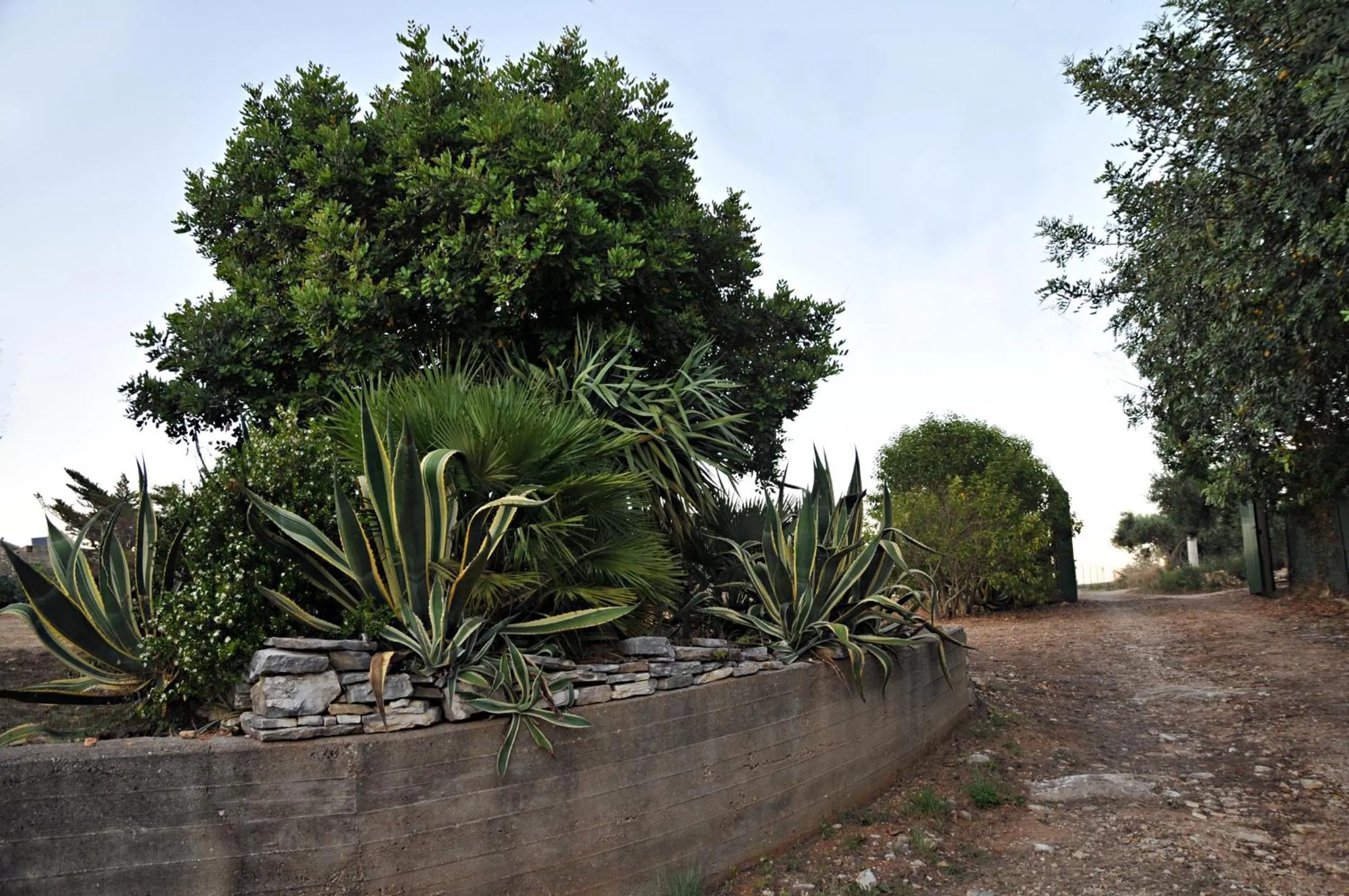 Garden in Casale la Macina Residence Scopello
