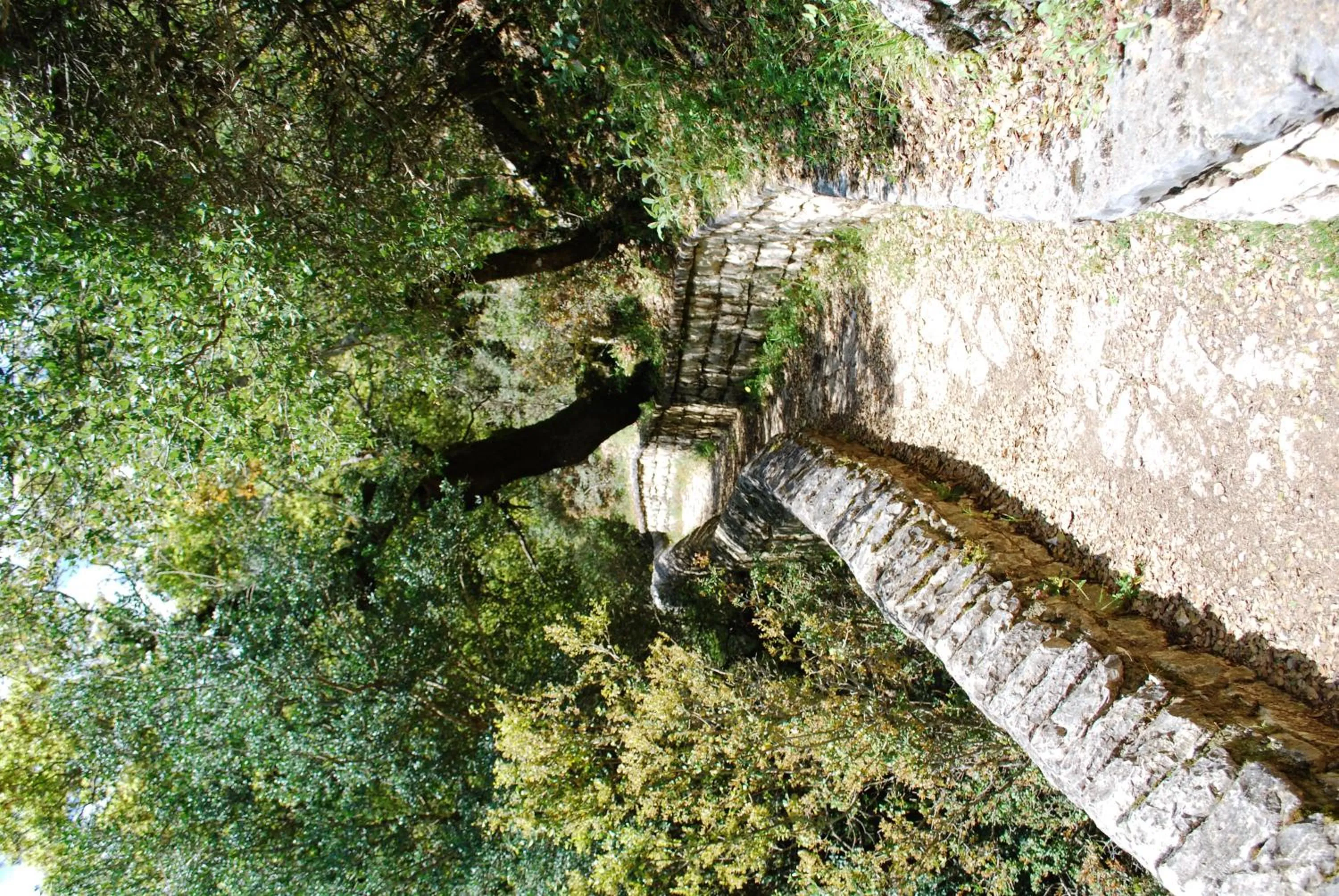 Natural landscape in Hotel Faraggi