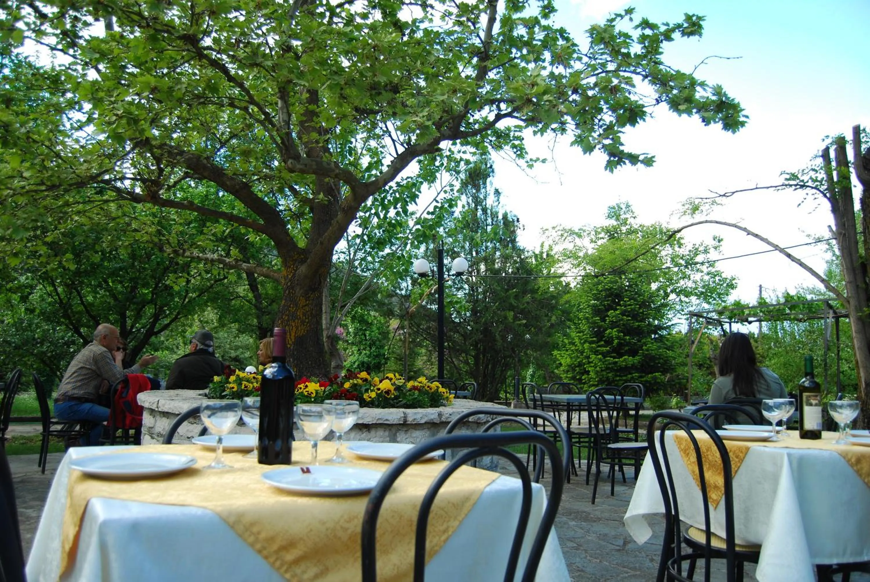 Restaurant/places to eat in Hotel Faraggi