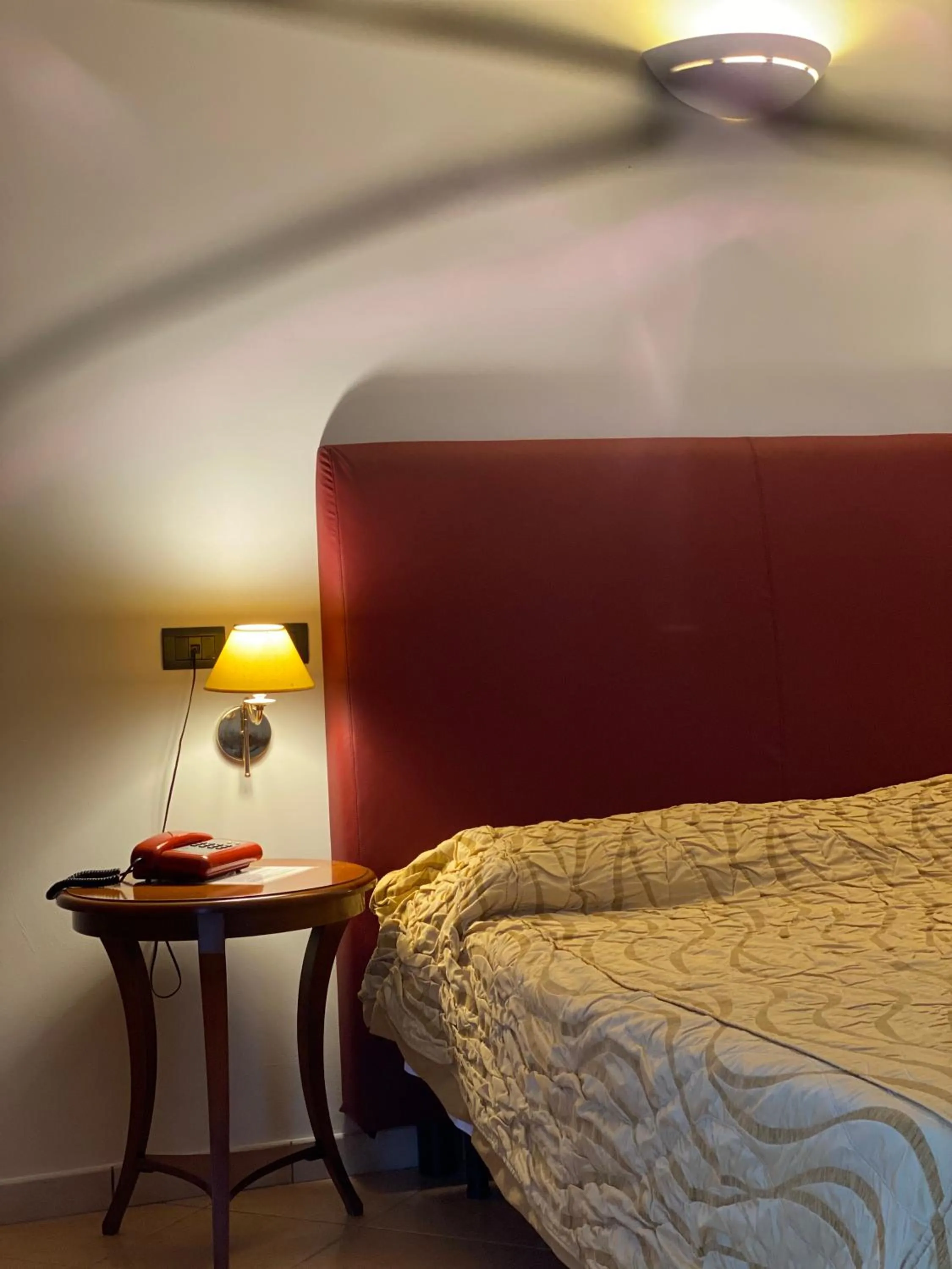 Shower, Bed in Lion's Hotel