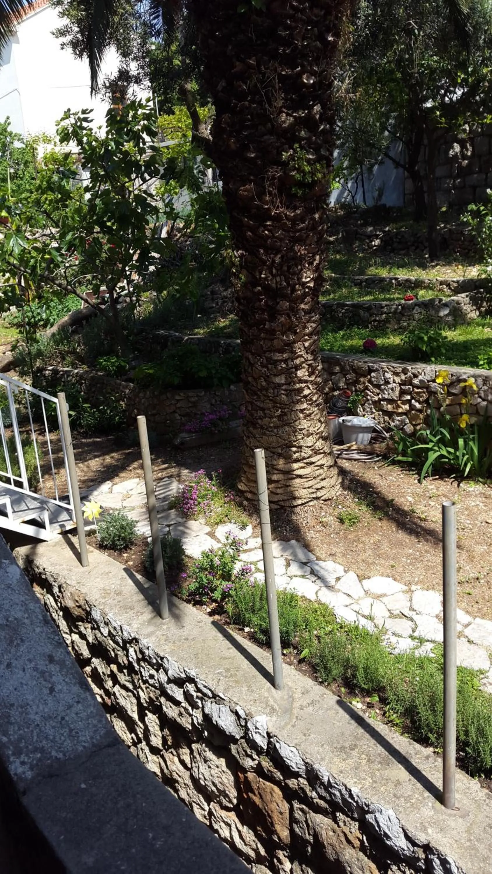 Garden in Apartment Karmen