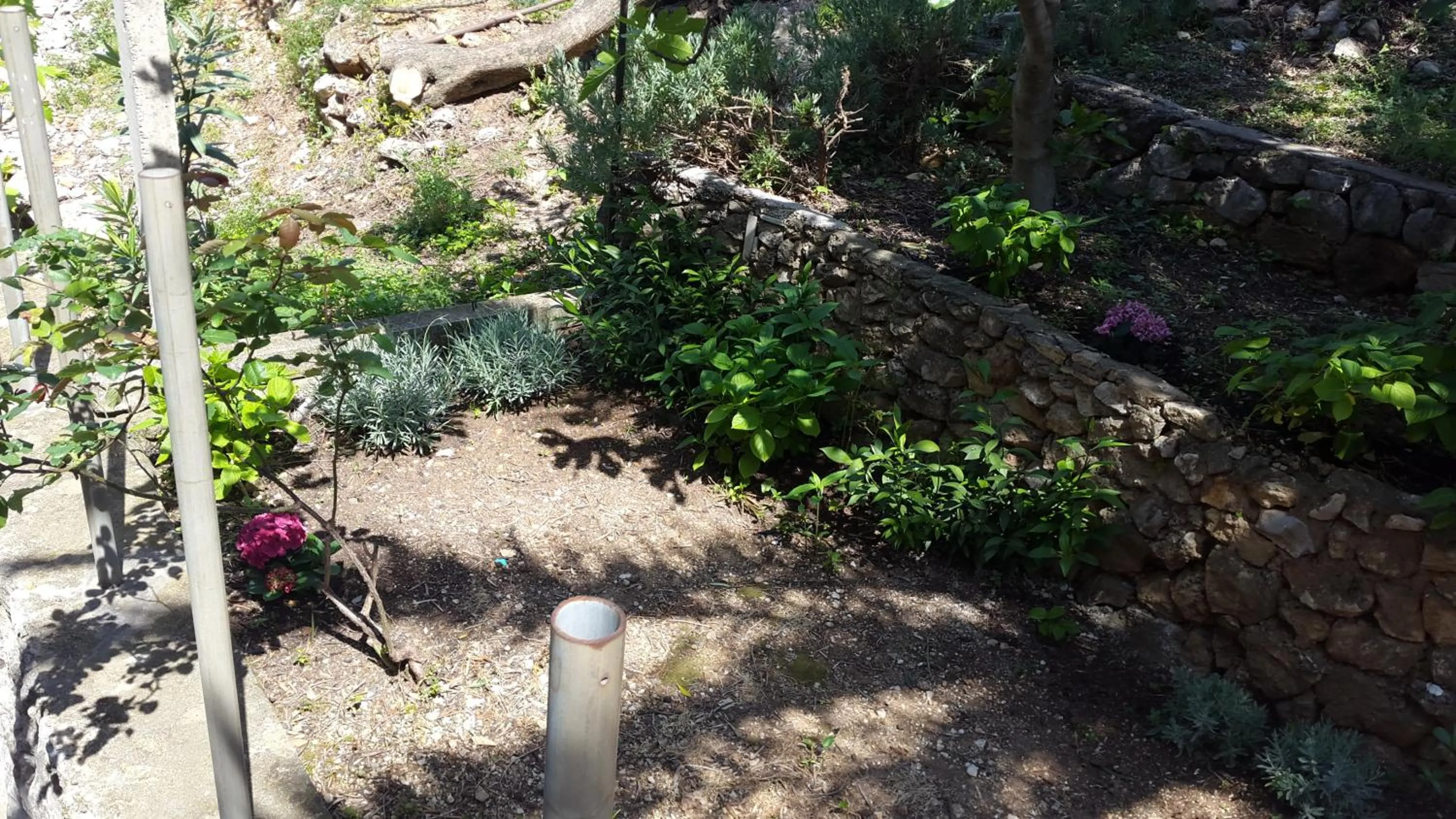 Garden in Apartment Karmen
