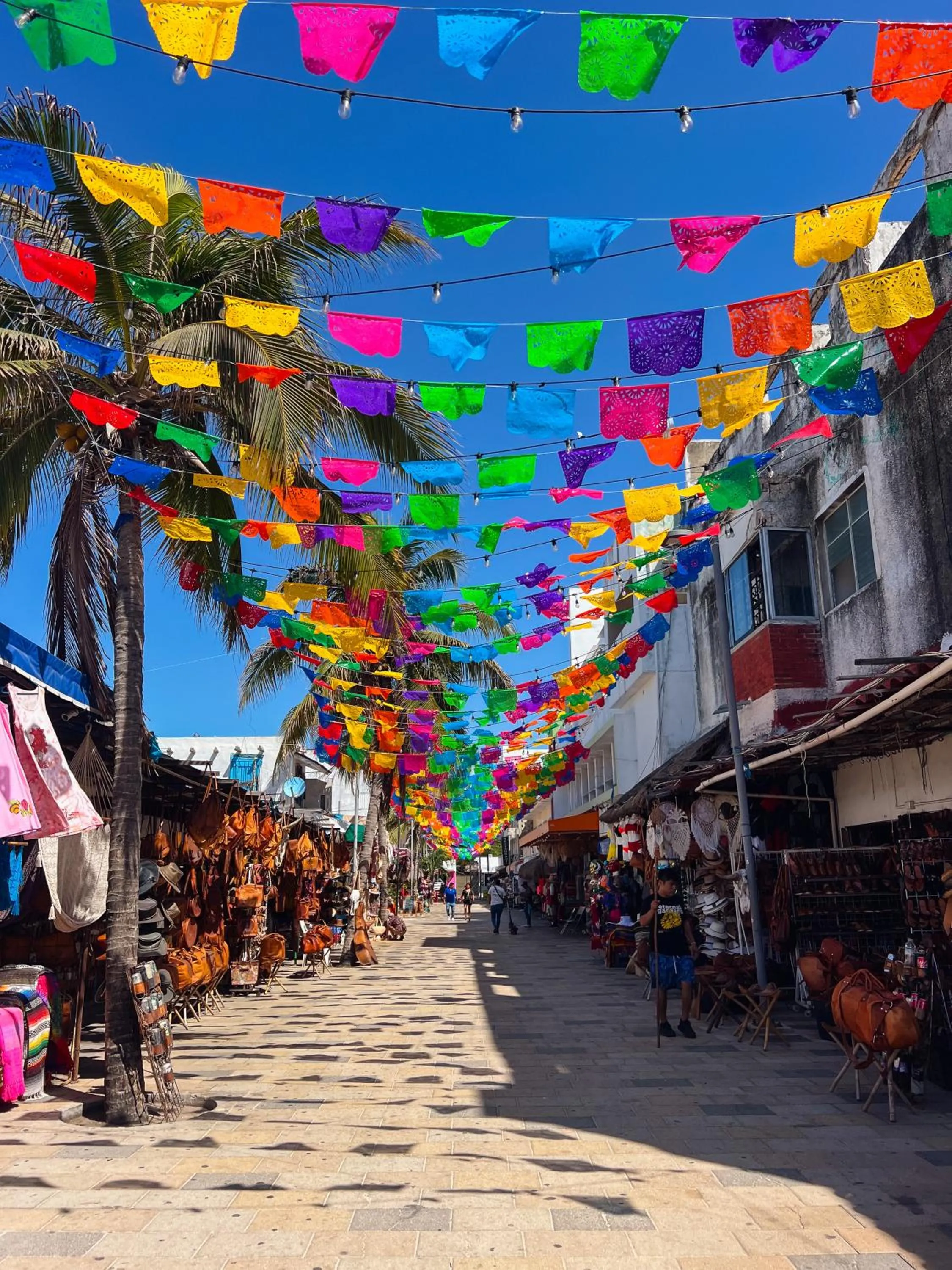 Neighbourhood in Hotel Aalada Playa del Carmen