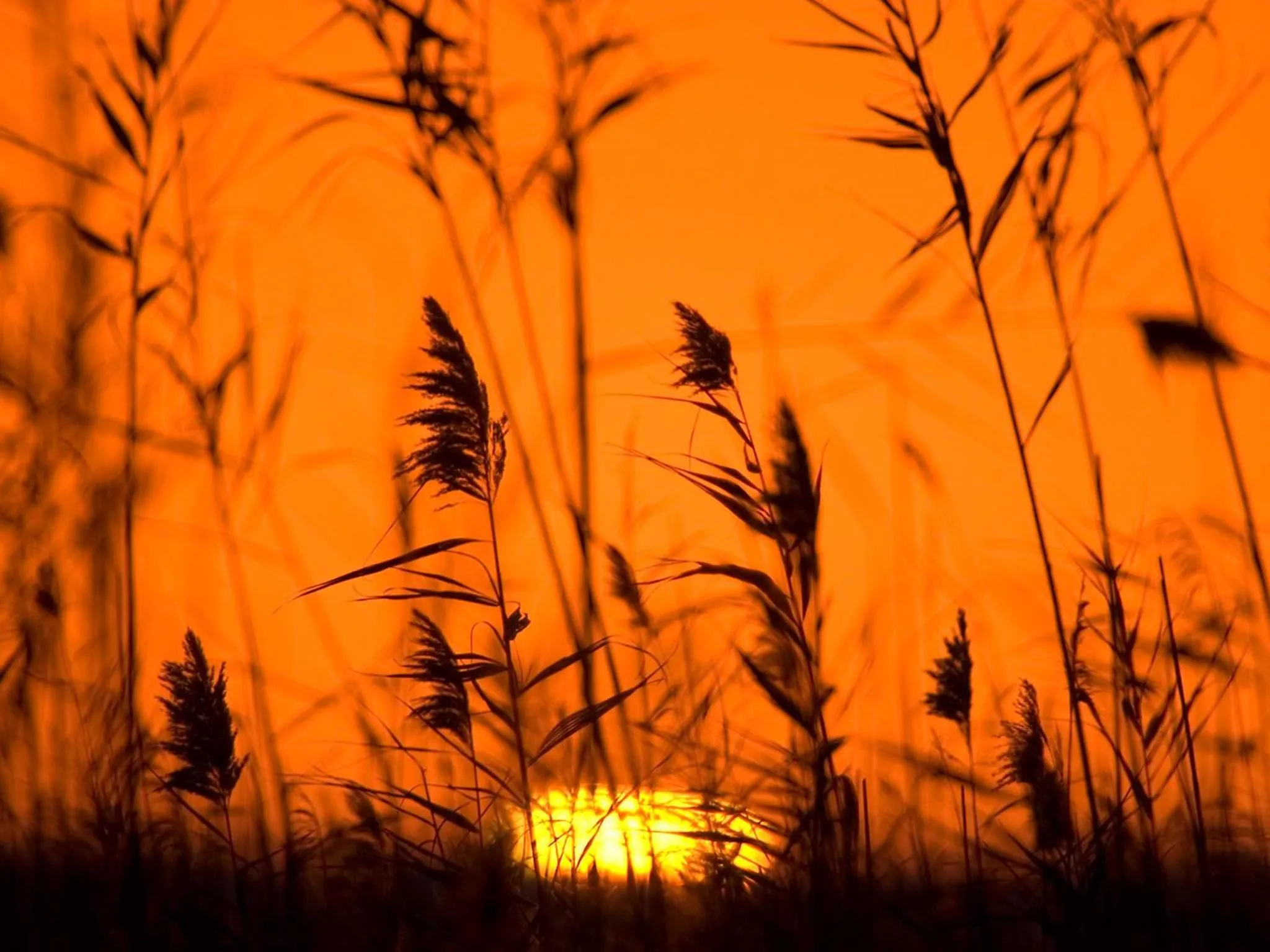 Hiking in Cas Ferrer Nou Hotelet