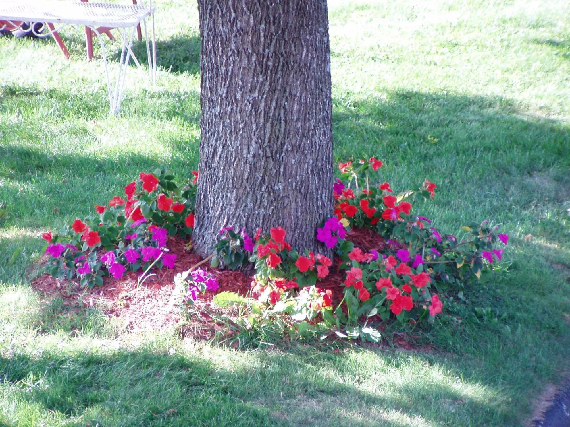 Garden in Sunset Inn