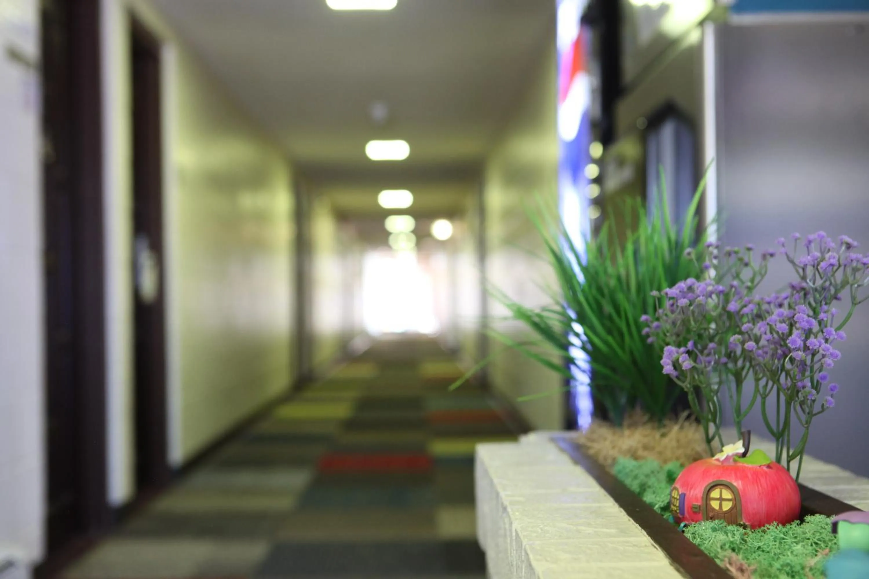 Property building in Arcadia Hotel