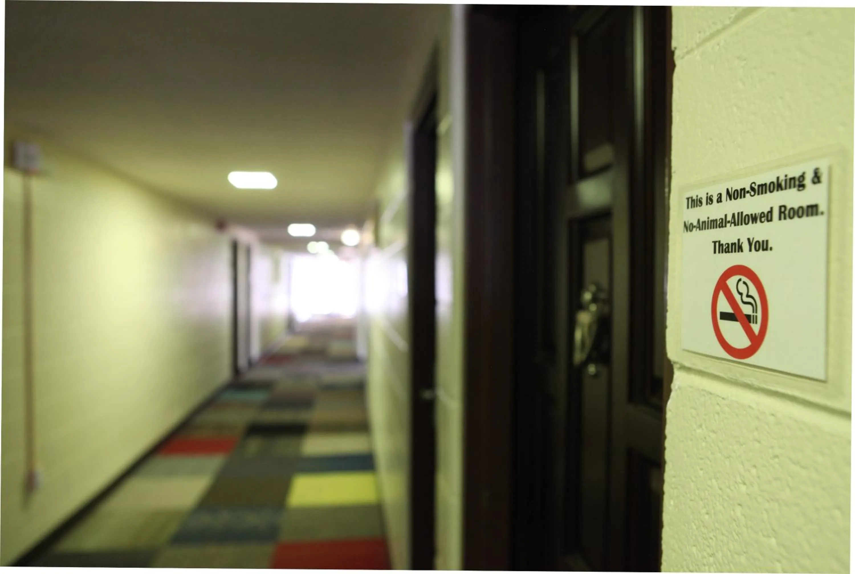 Property building in Arcadia Hotel