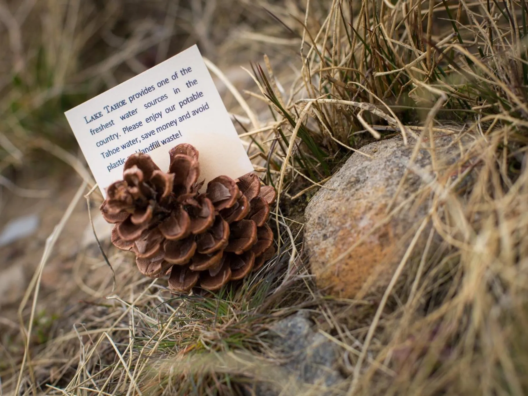 Other in Cedar Glen Lodge