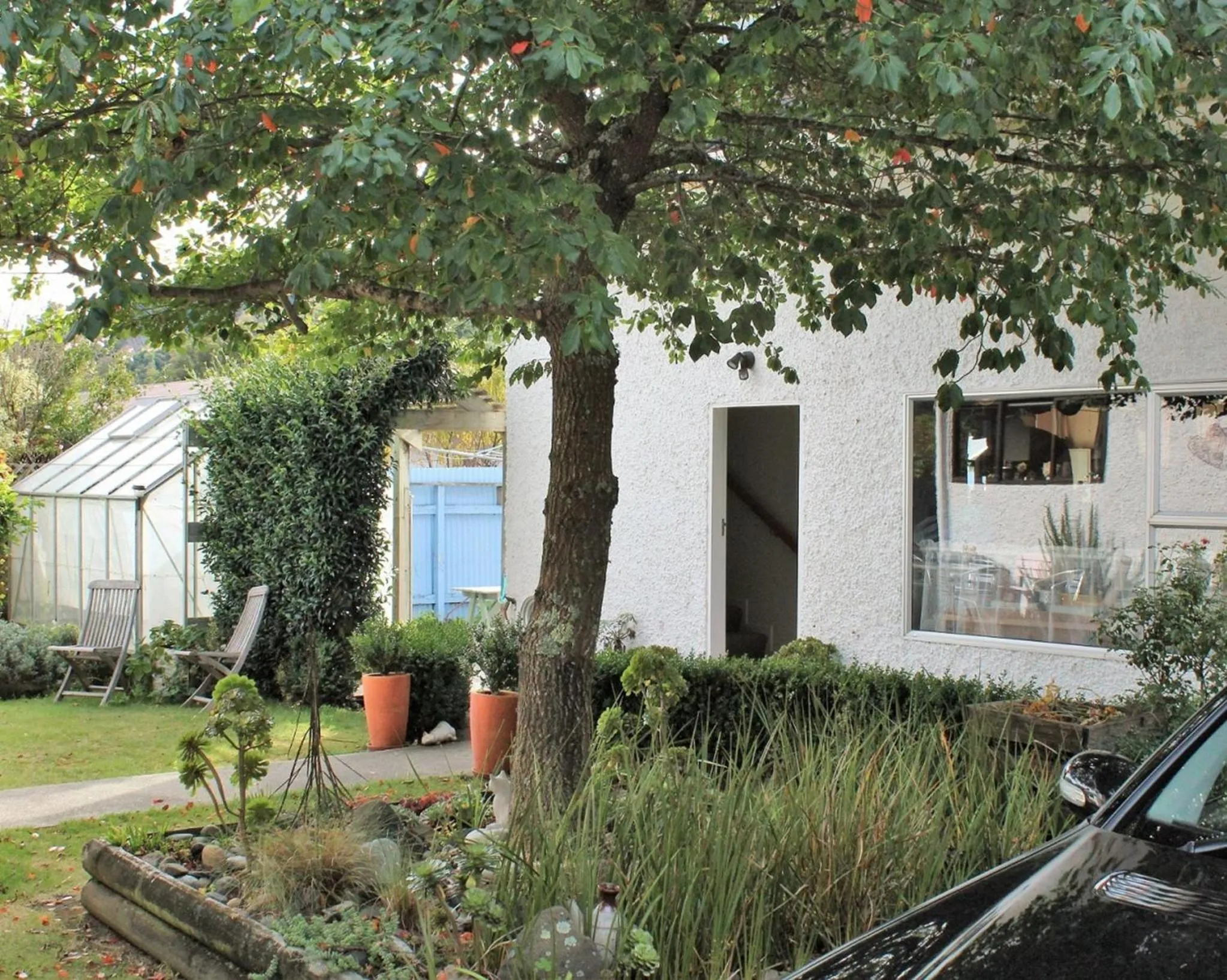 Garden in Annick House Bed and Breakfast