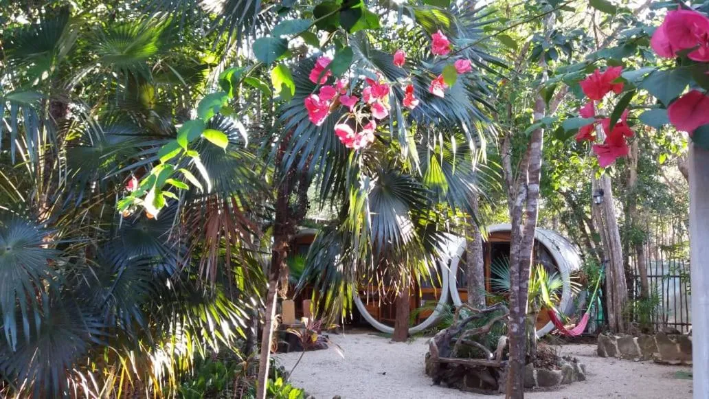 Tubo Tulum Hostel