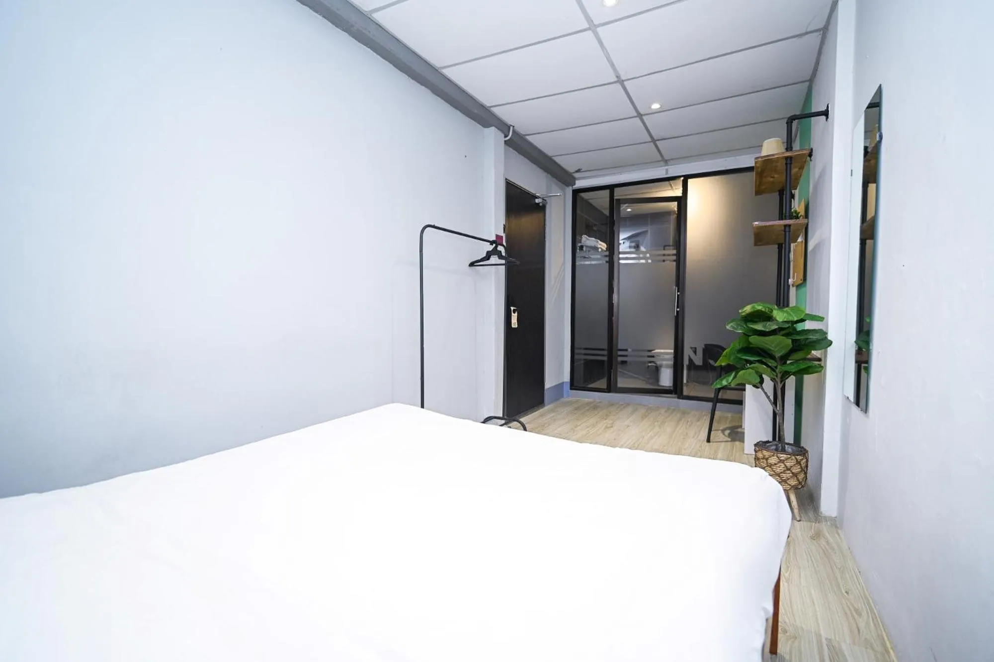 Bed in Swing & Pillows @ Beach Street