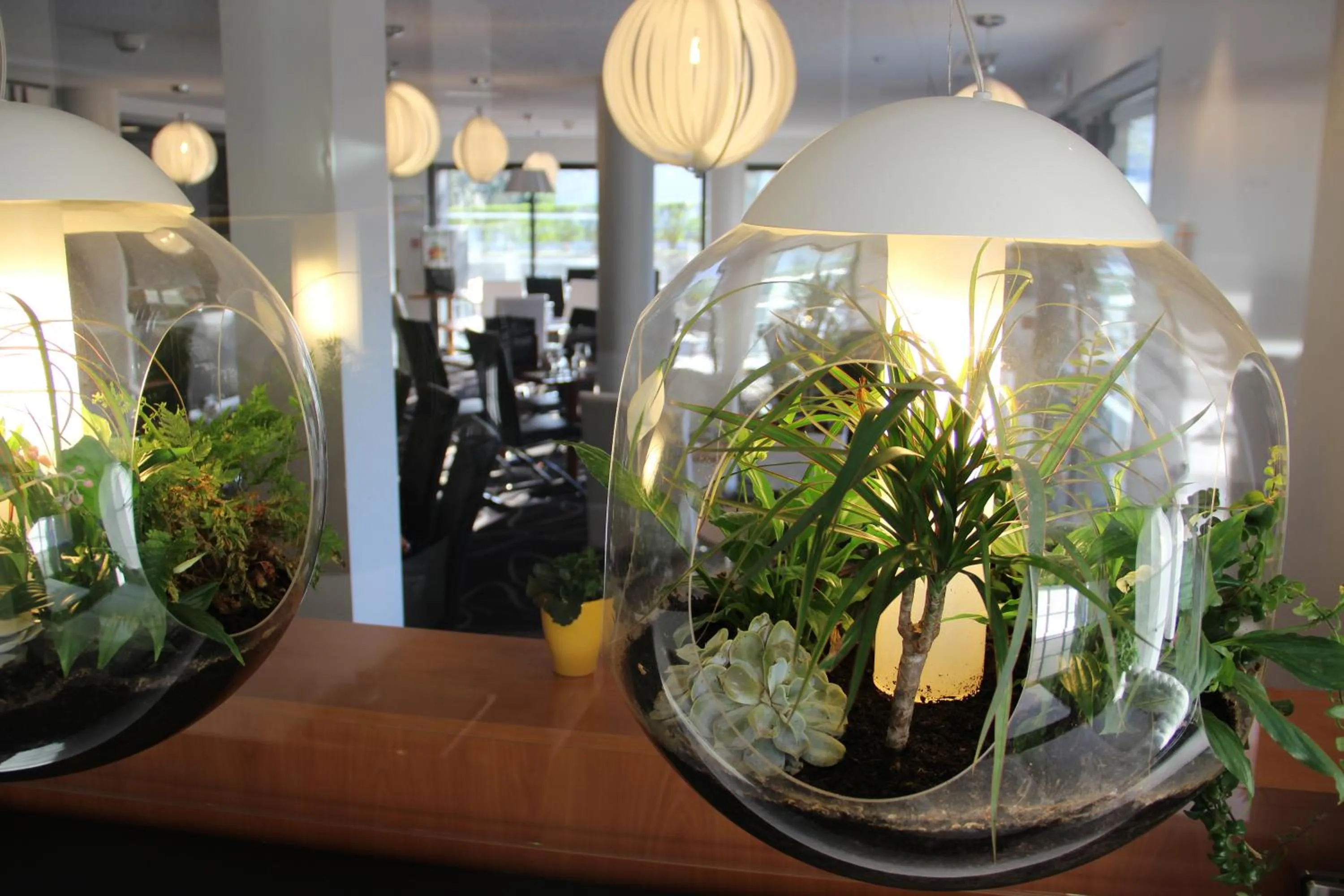 Restaurant/places to eat in Kyriad Saint Quentin en Yvelines - Montigny