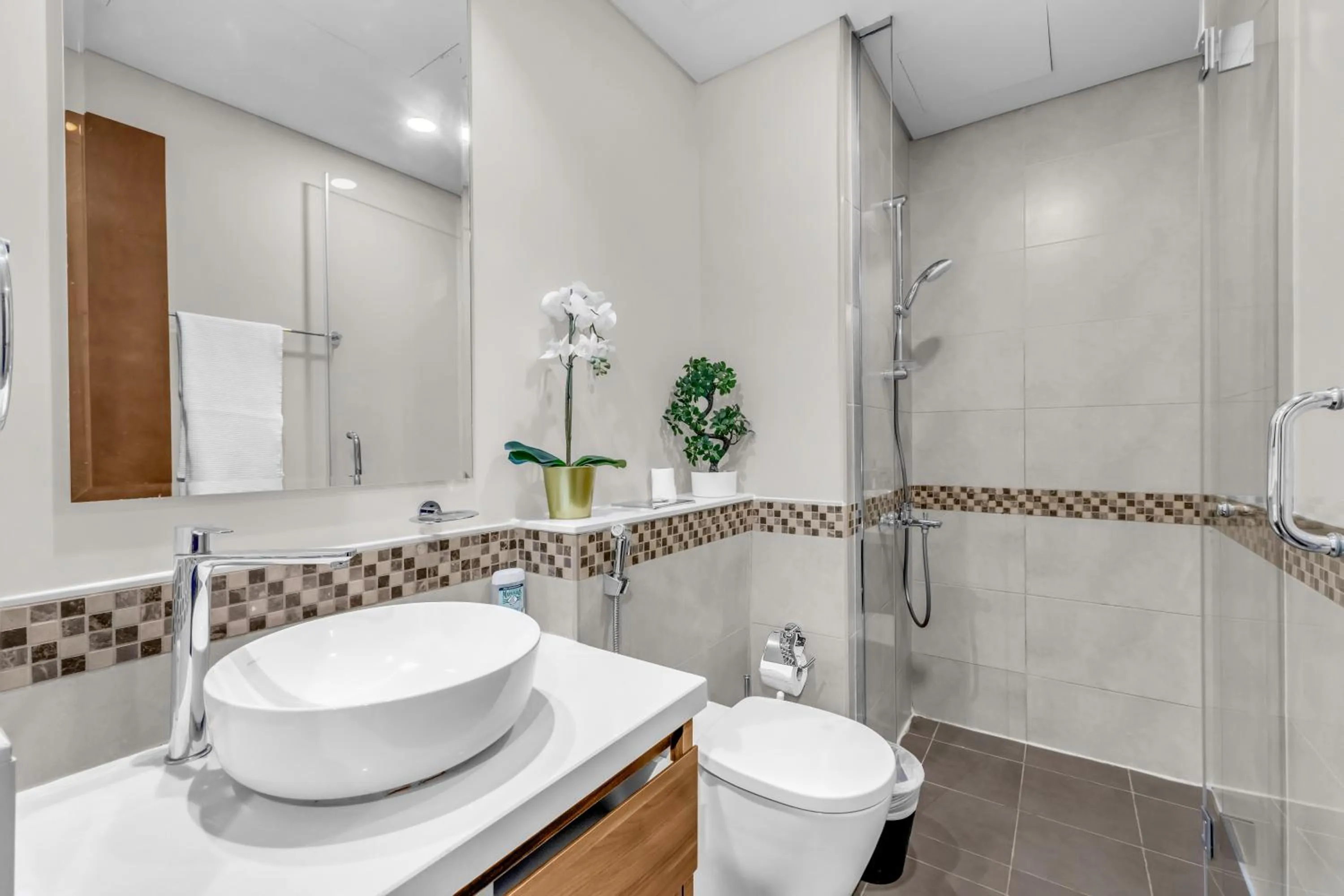 Shower in Wonderful Reva Aparthotel Downtown