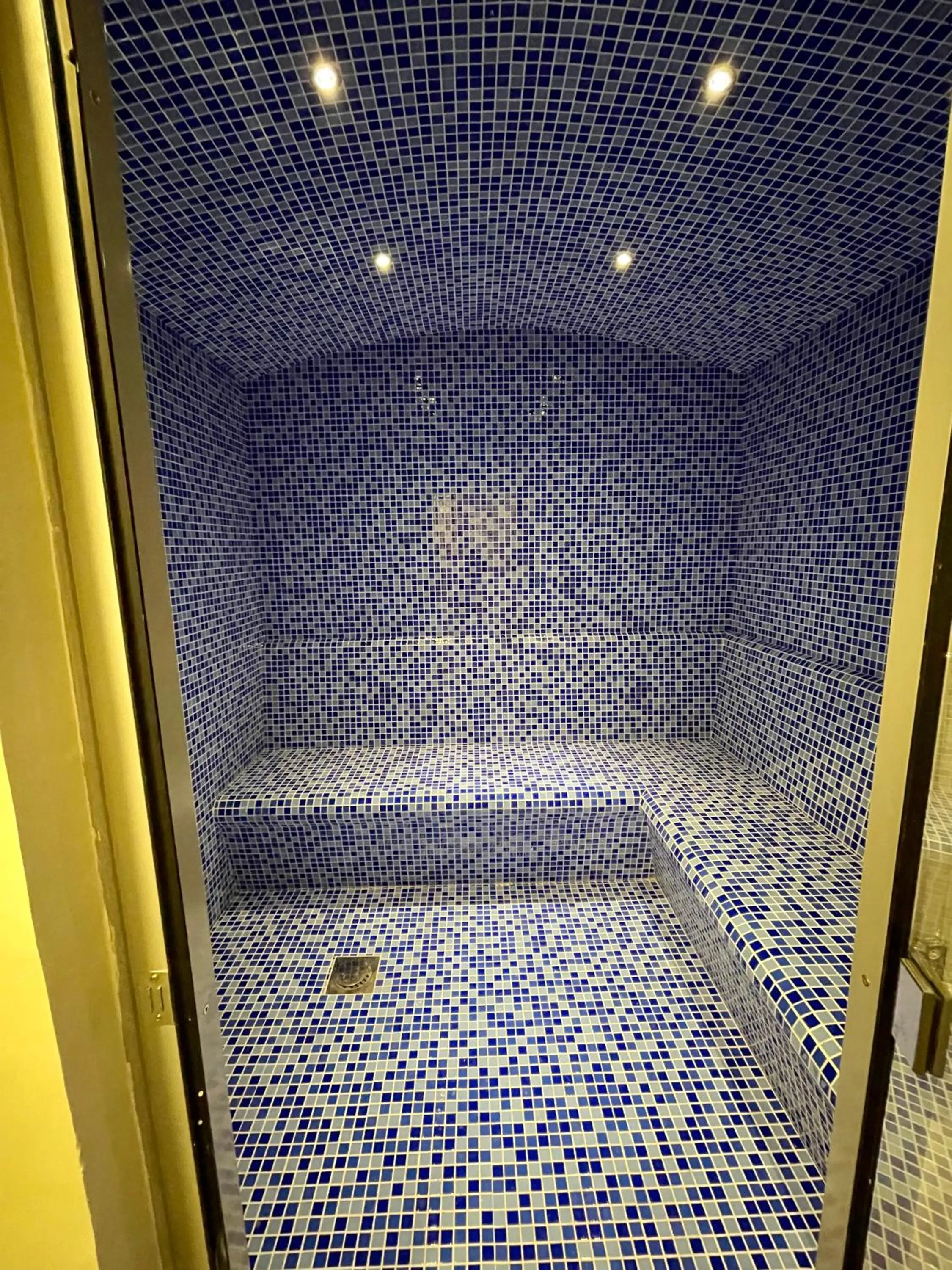 Sauna in Wonderful Reva Aparthotel Downtown