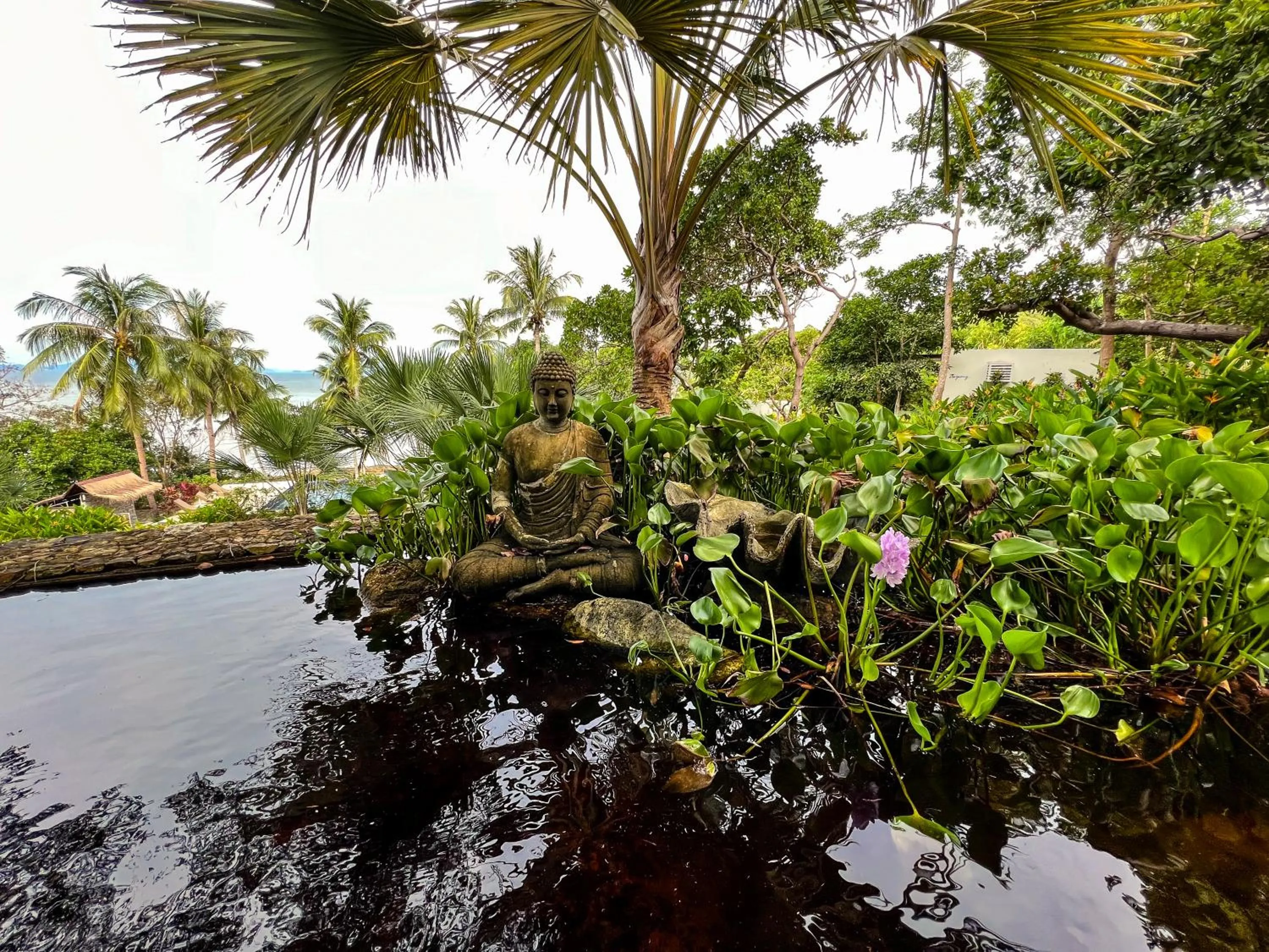 Day in The Dream Beach Resort