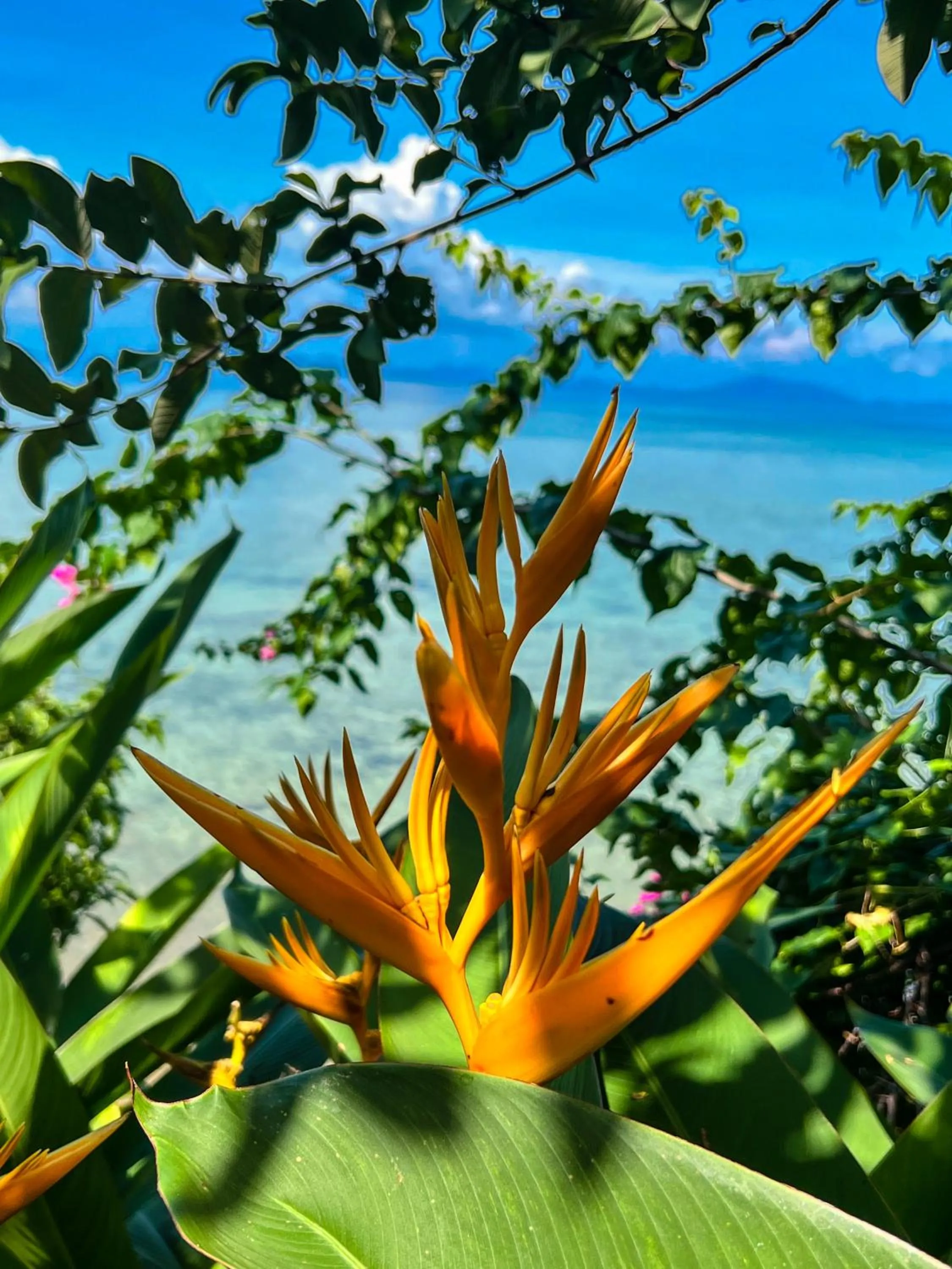 Natural landscape in The Dream Beach Resort