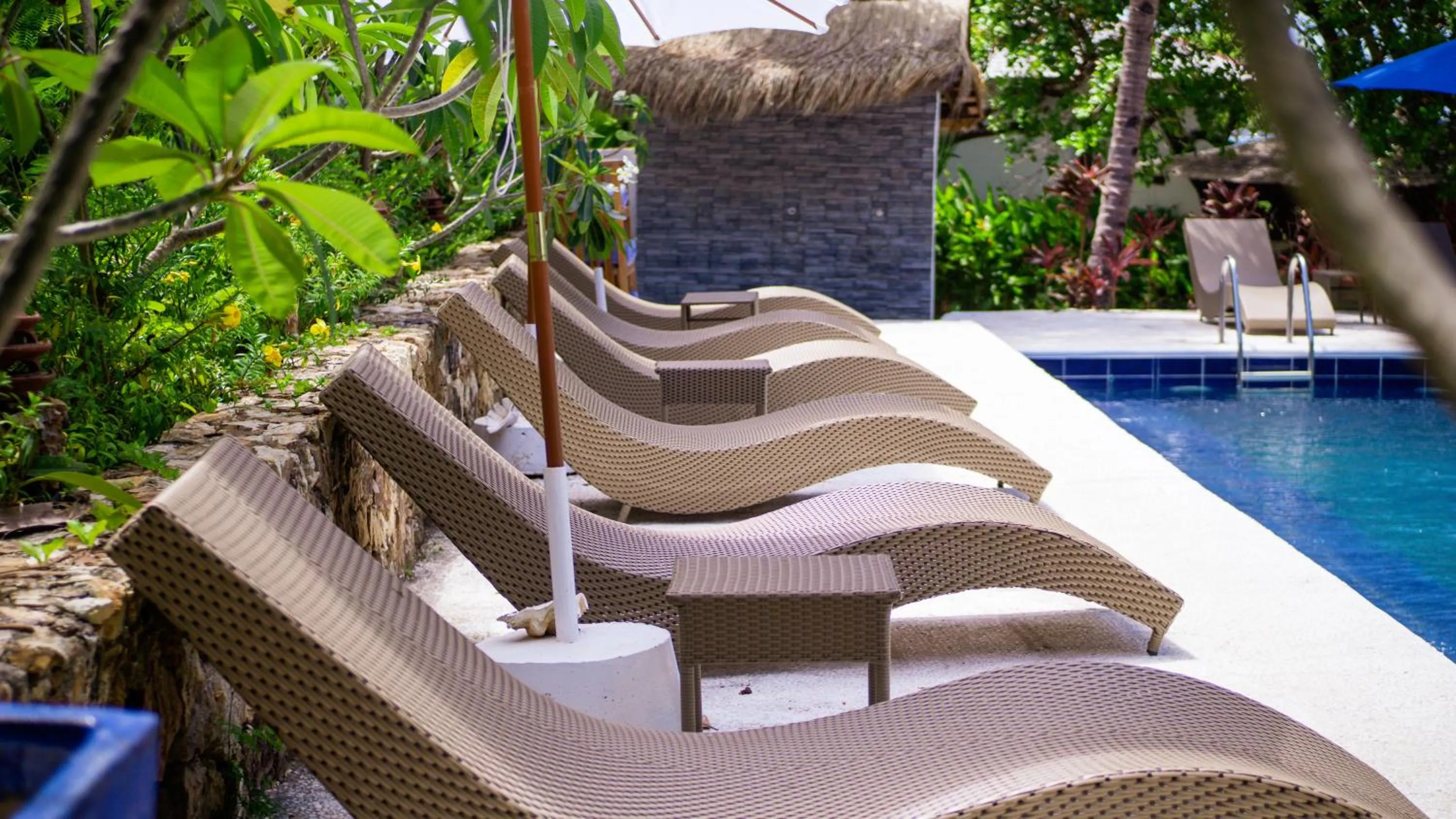 Day in The Dream Beach Resort