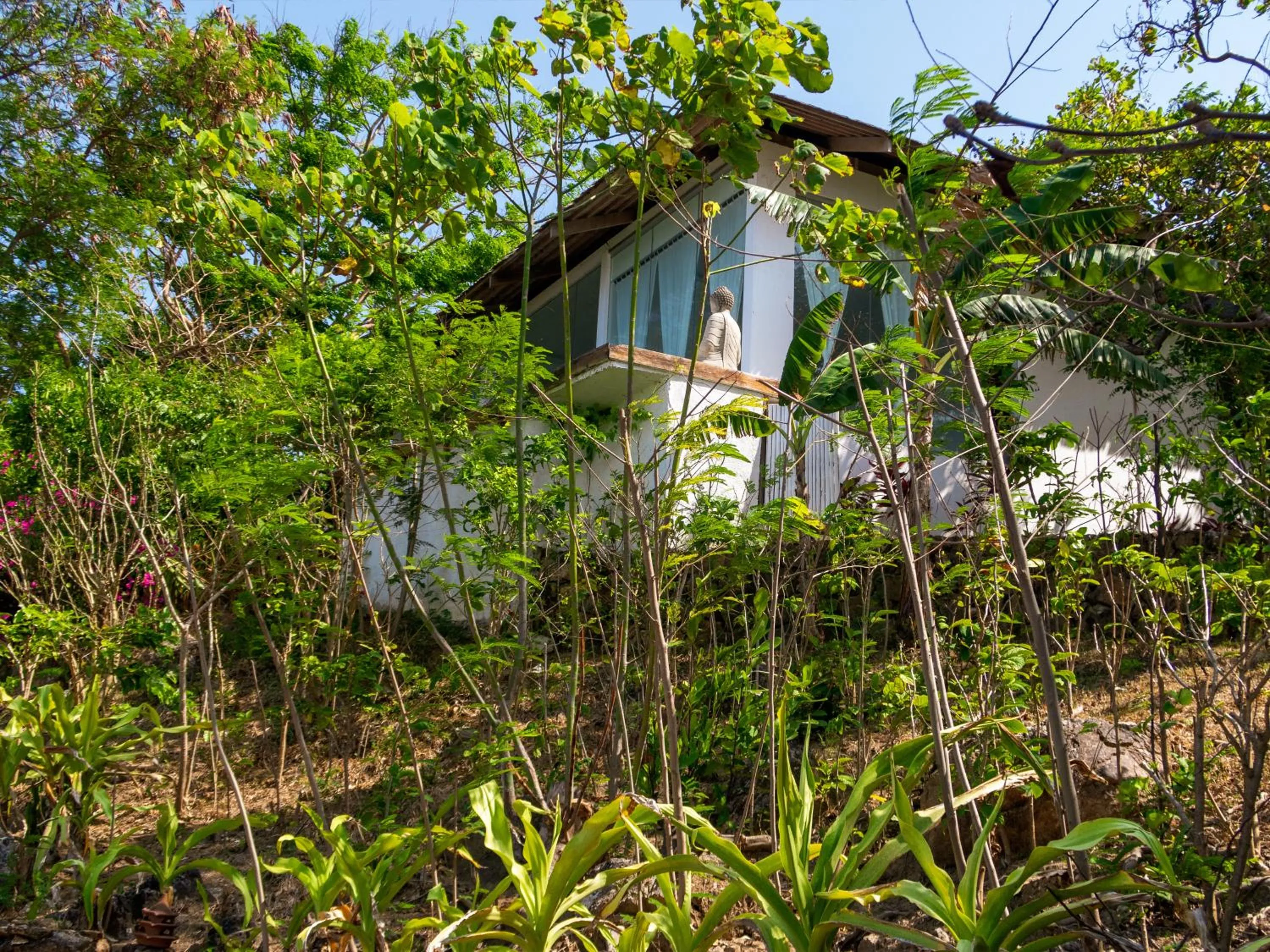 Property building in The Dream Beach Resort