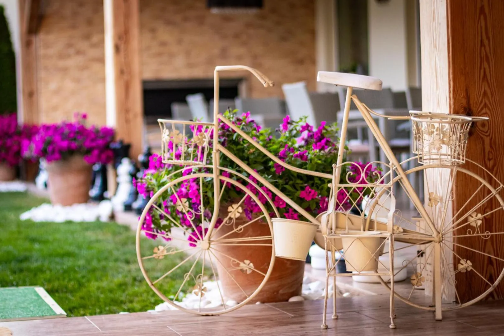 Patio in W Krainie Alicji