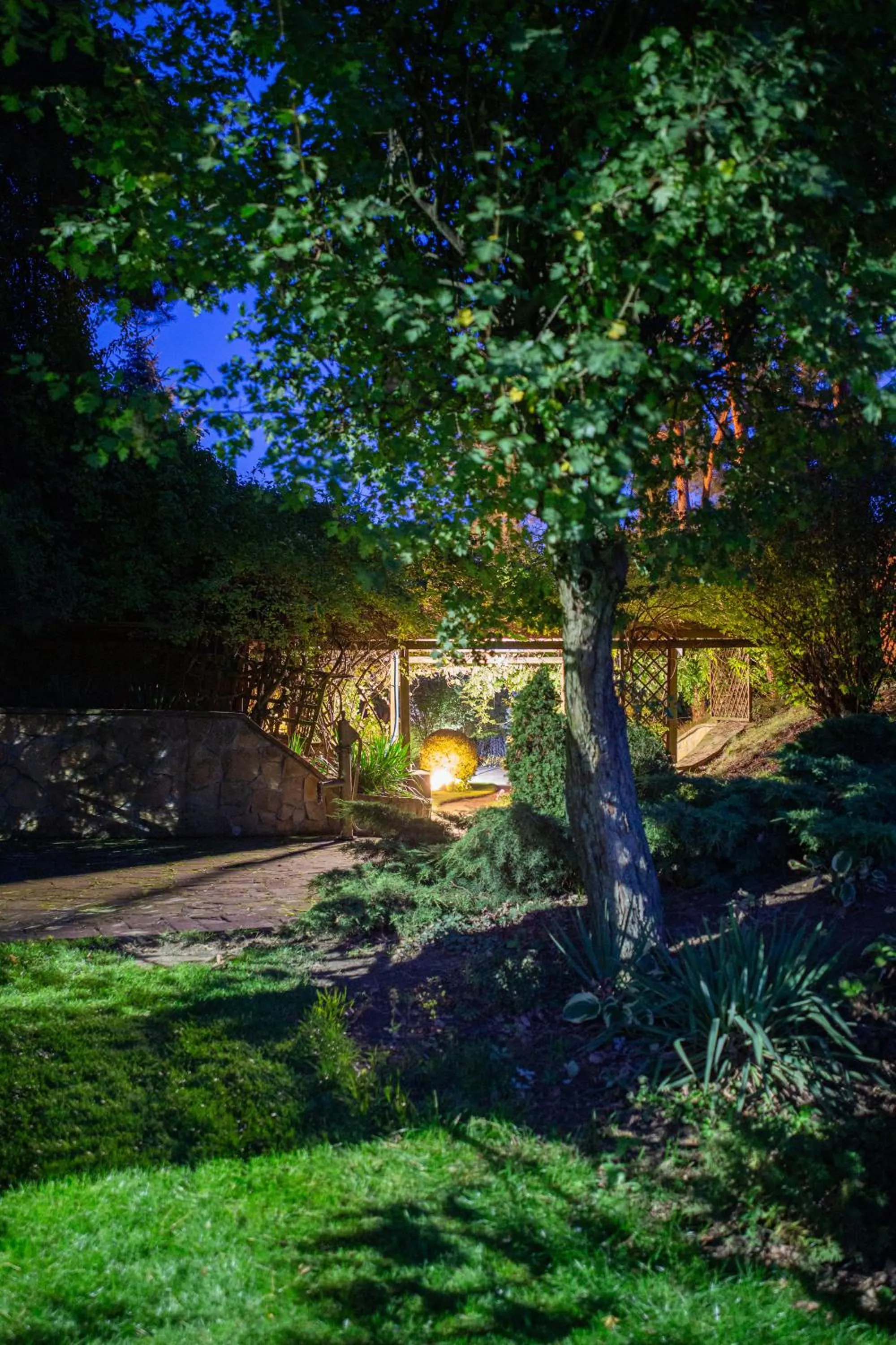 Garden in W Krainie Alicji