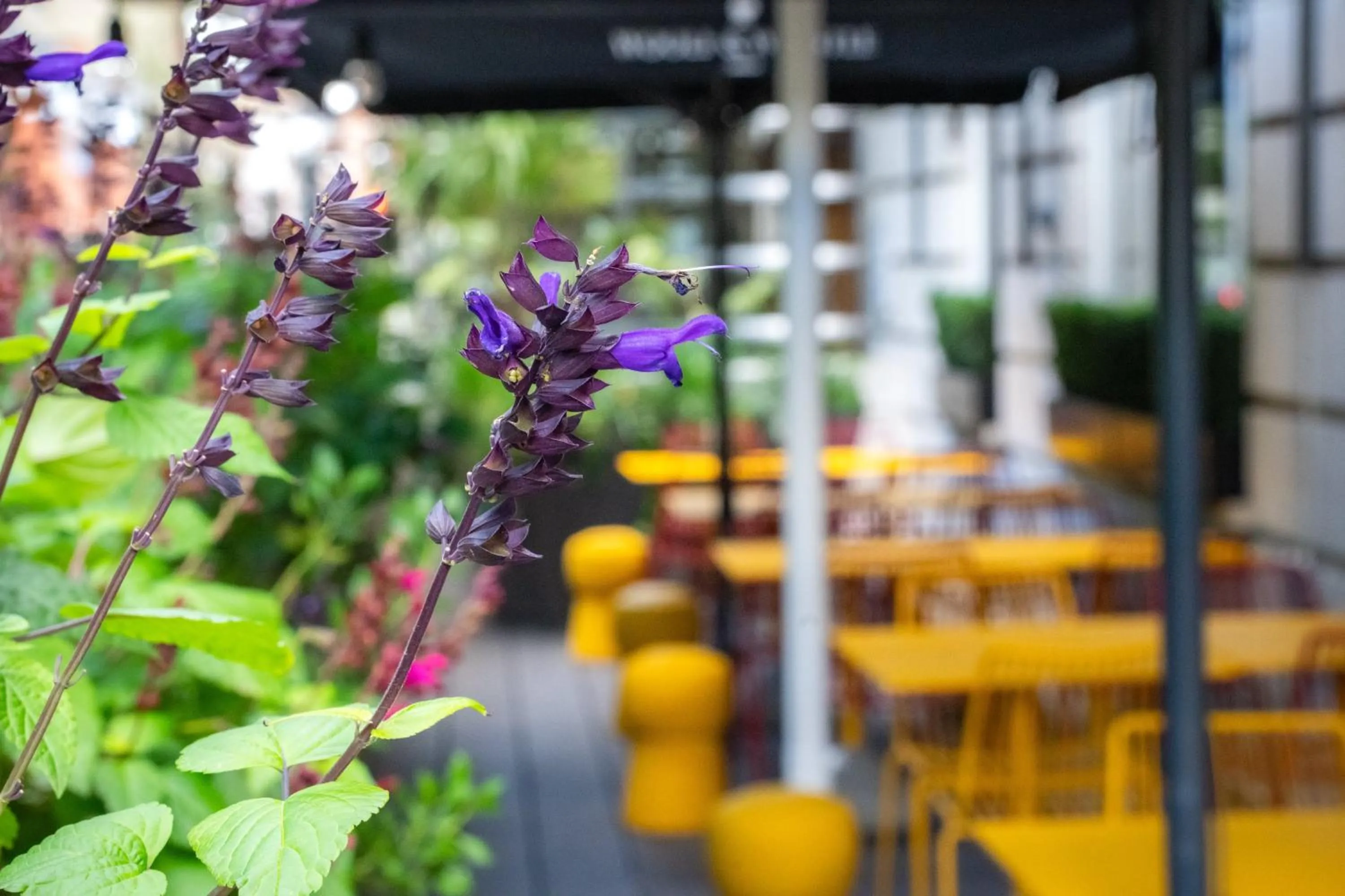 Lounge or bar in Tavistock Hotel
