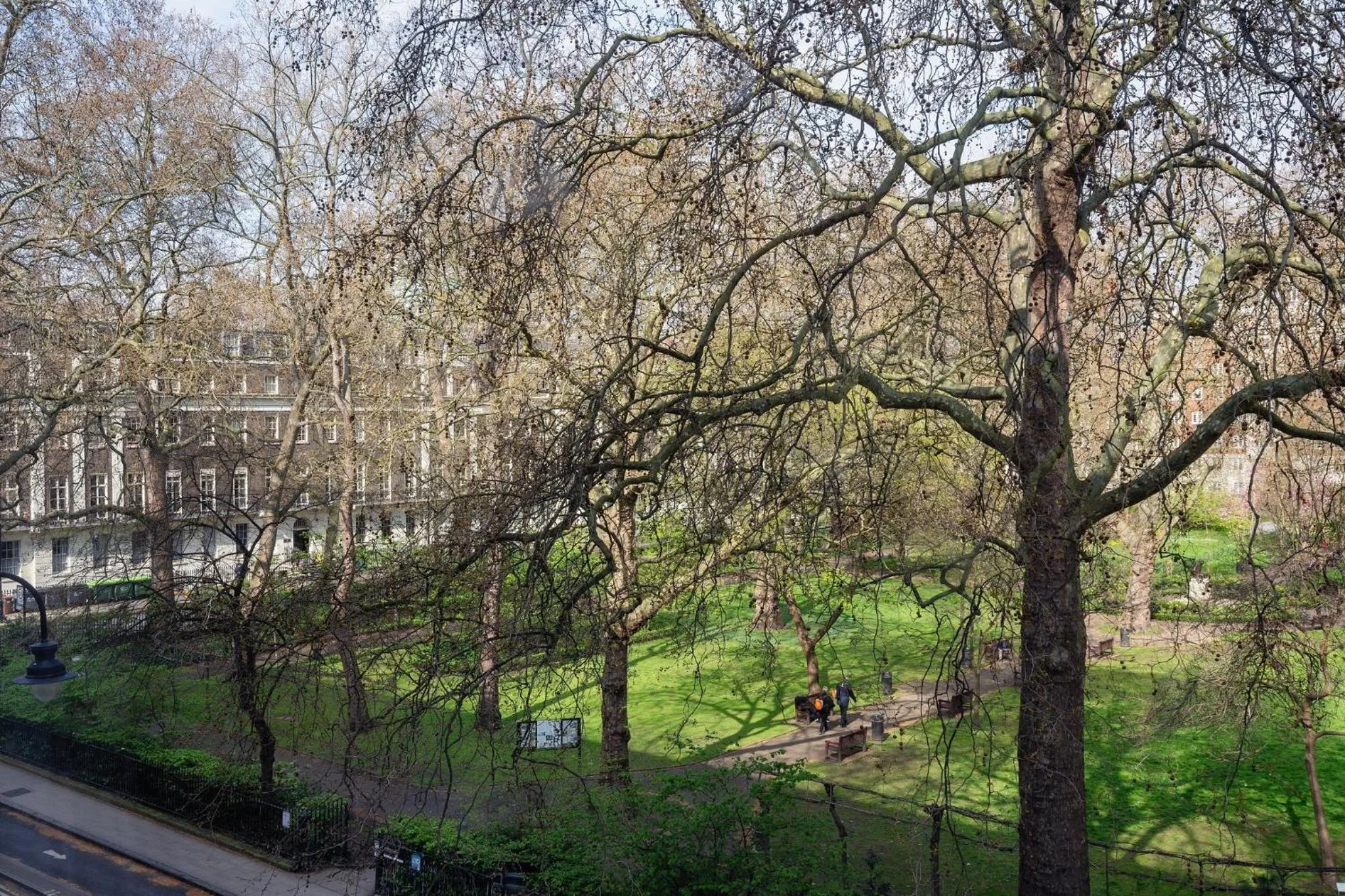 Garden view in Tavistock Hotel