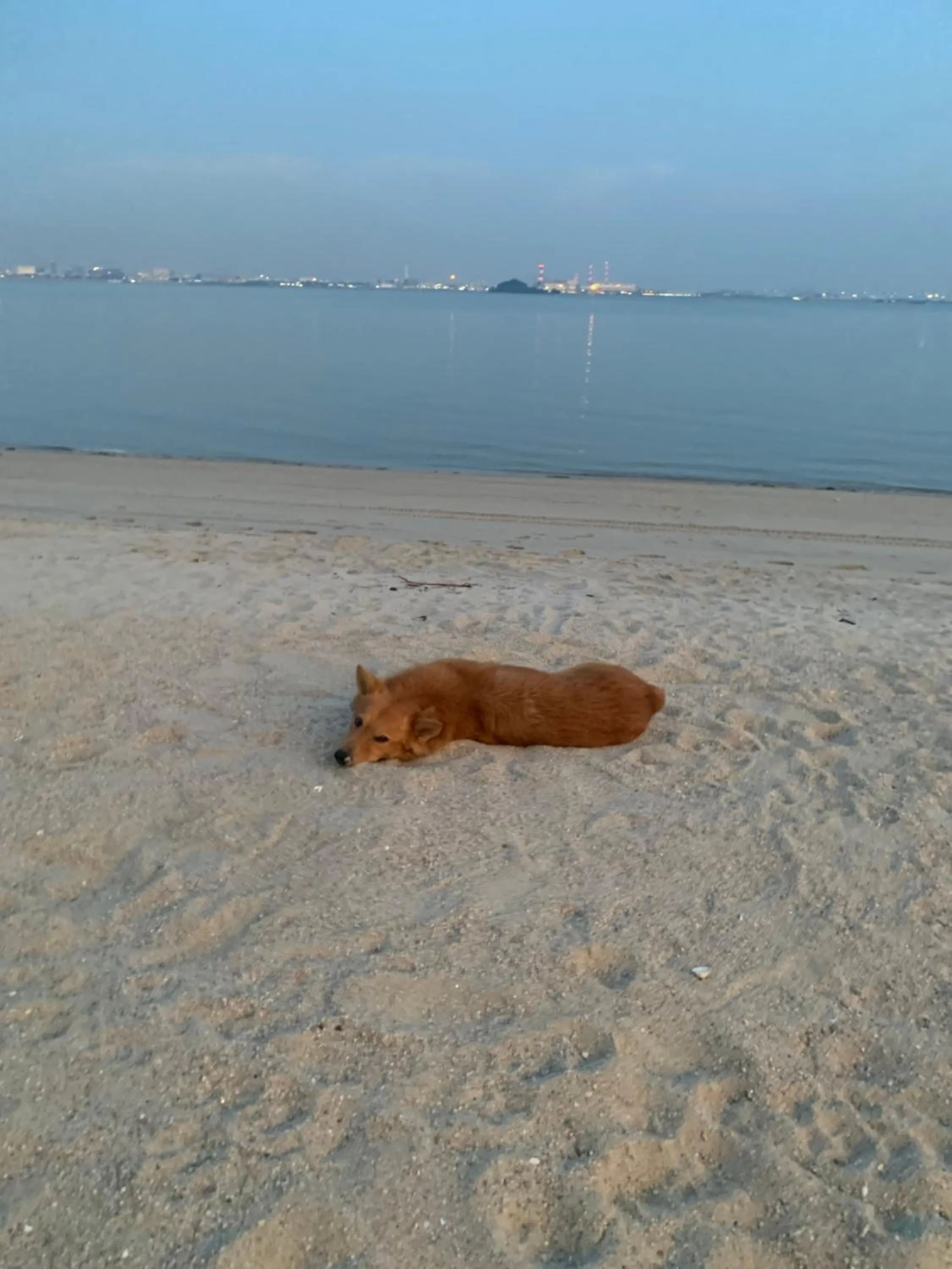 Beach in Sea view 2 bedroom Fully furnished Apartment Forest City Starview Bay Johor Malaysia