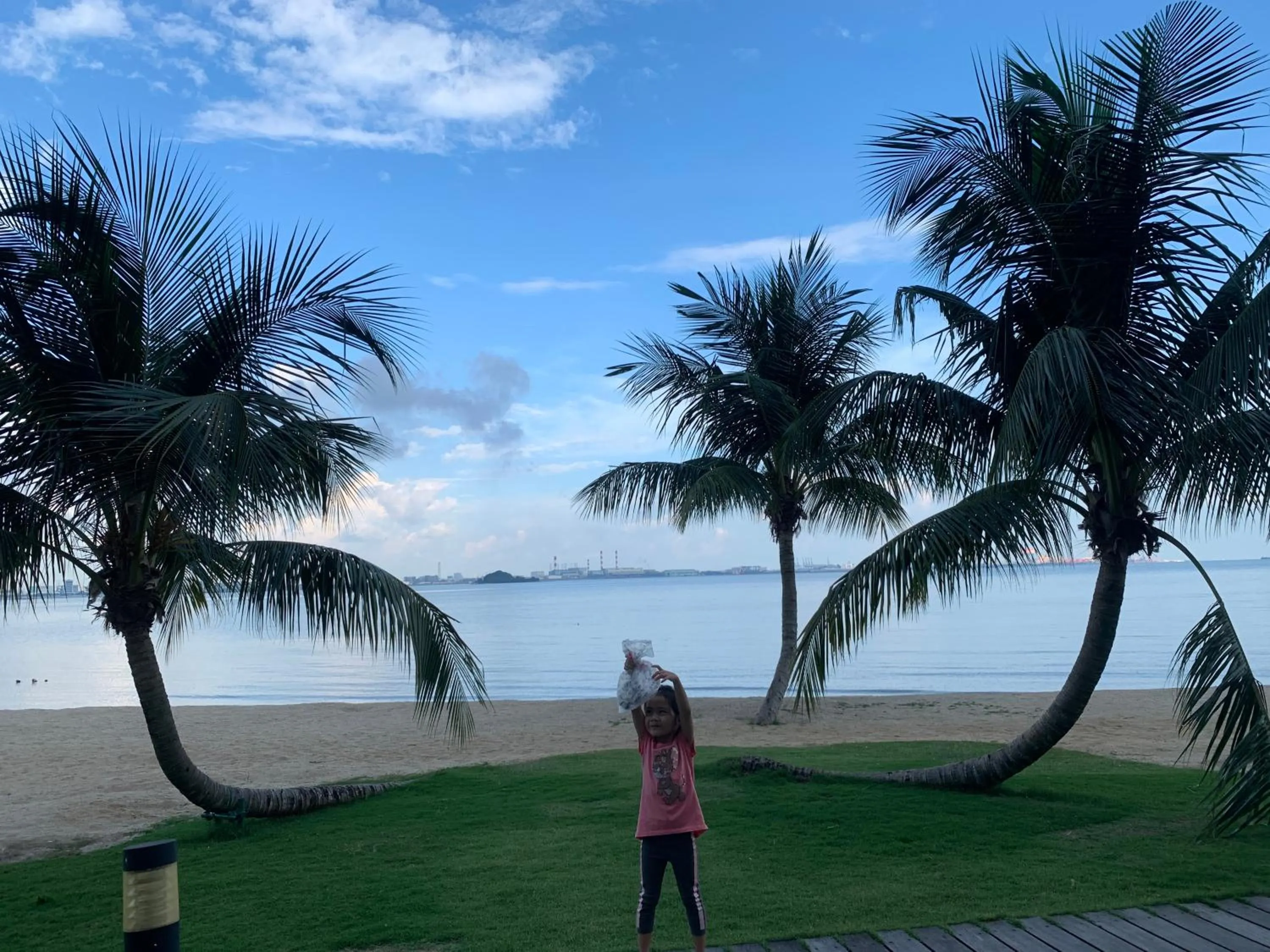 Natural landscape in Sea view 2 bedroom Fully furnished Apartment Forest City Starview Bay Johor Malaysia